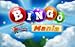 Bingo Craze