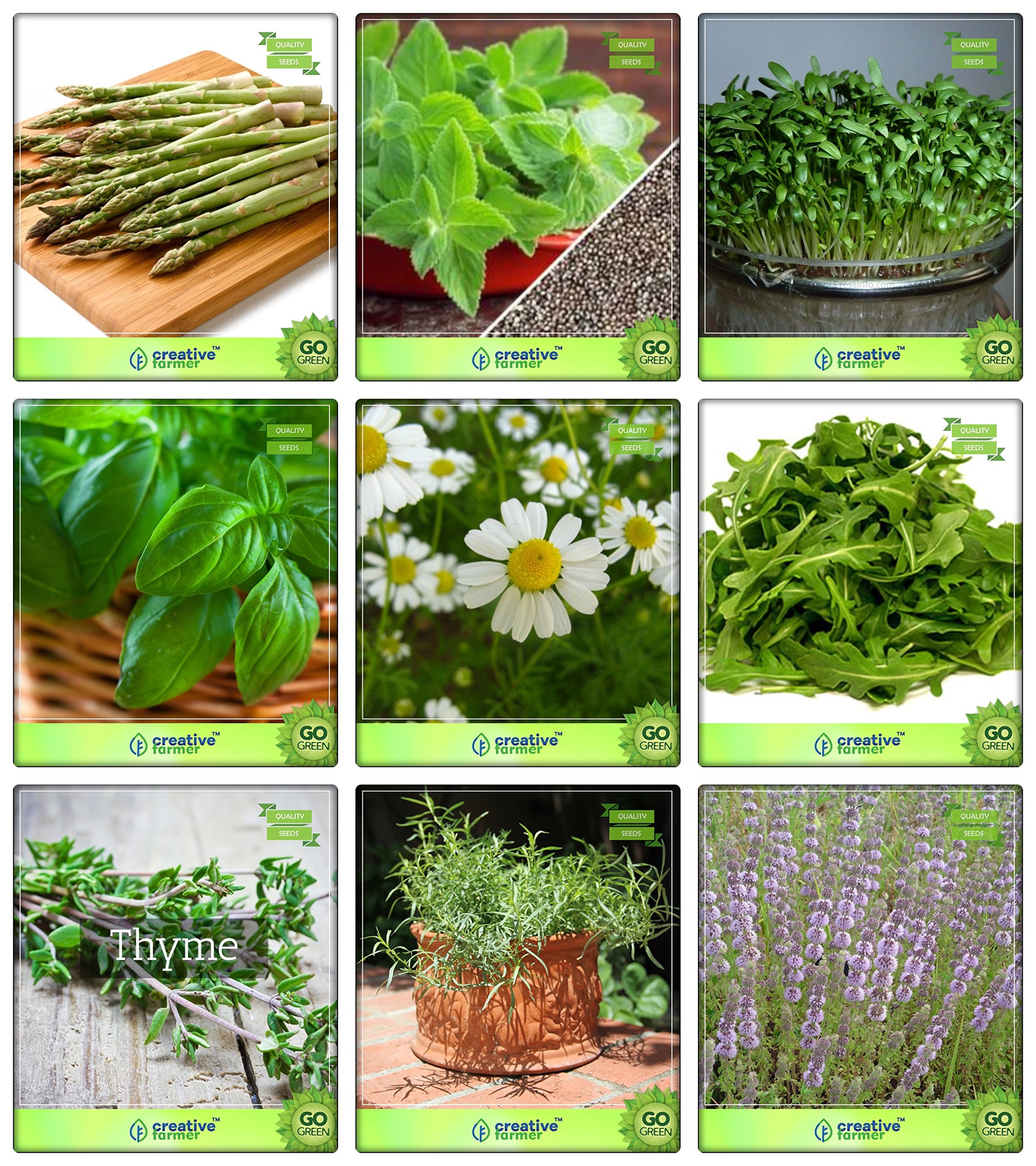 Creative Farmer Herbal Plant Seeds Asparagus, Mint, Cress Common, Lemon Basil, German Chamomille, Wild Rocket, Thyme English Winter, Terragon, Penny Royal Herb Seeds Combo Pack (B078V2QRRC) Amazon Price History, Amazon Price Tracker