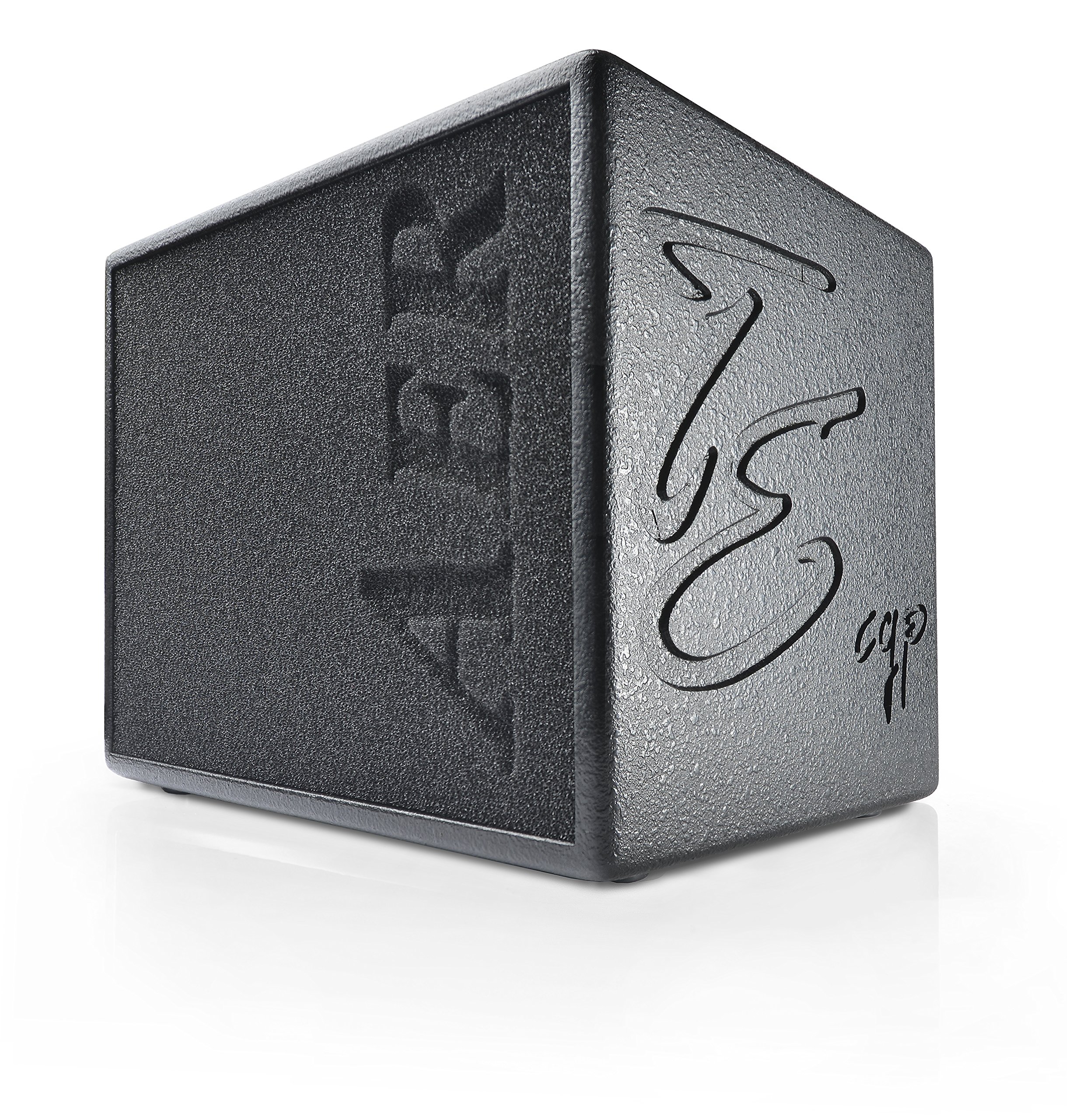 Amazon.co.jp: AER アコースティック ギター アンプ 60W Compact 60/3 