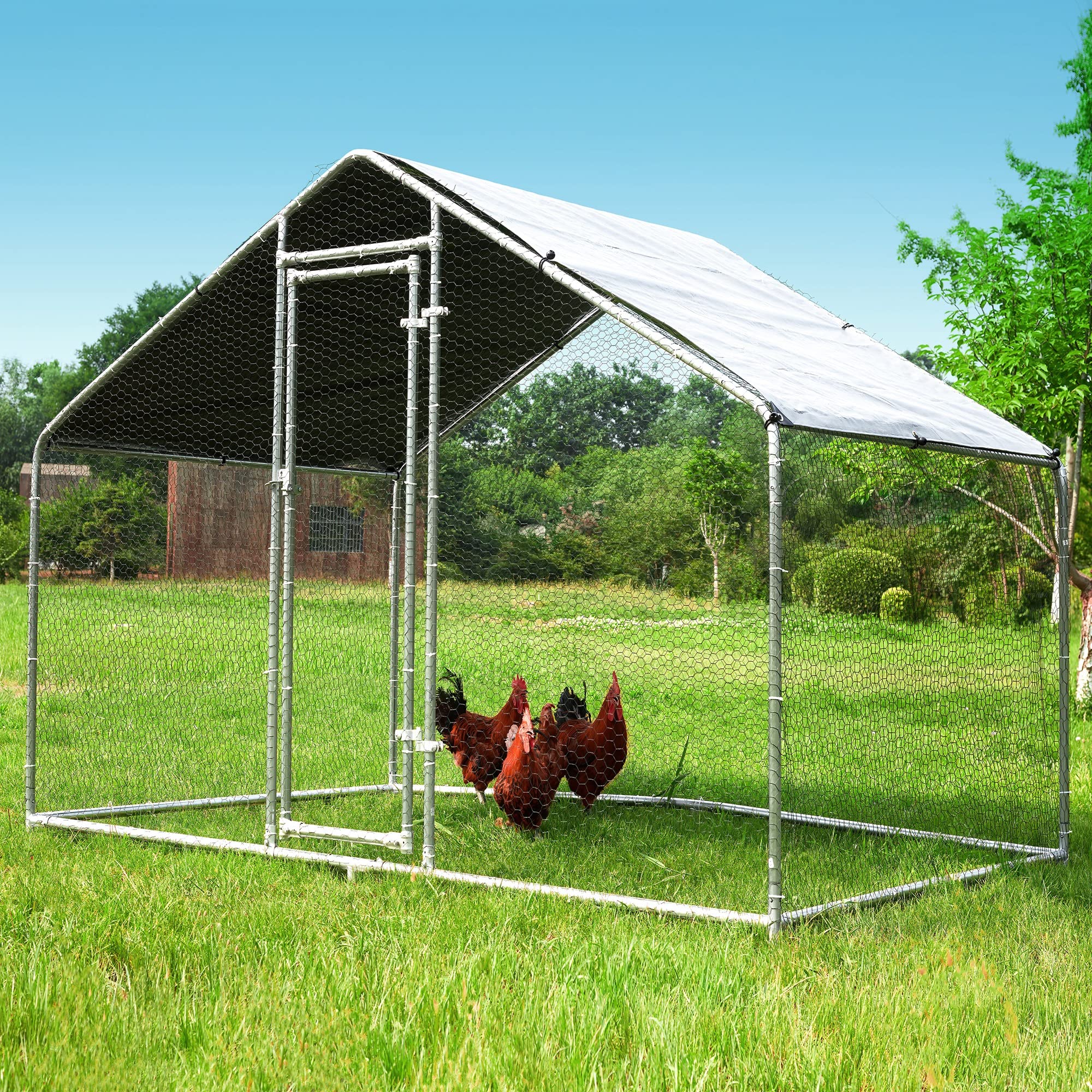 Buy HITTITE 1.26'' Tube Chicken Coop Run Large Metal Chicken Coop