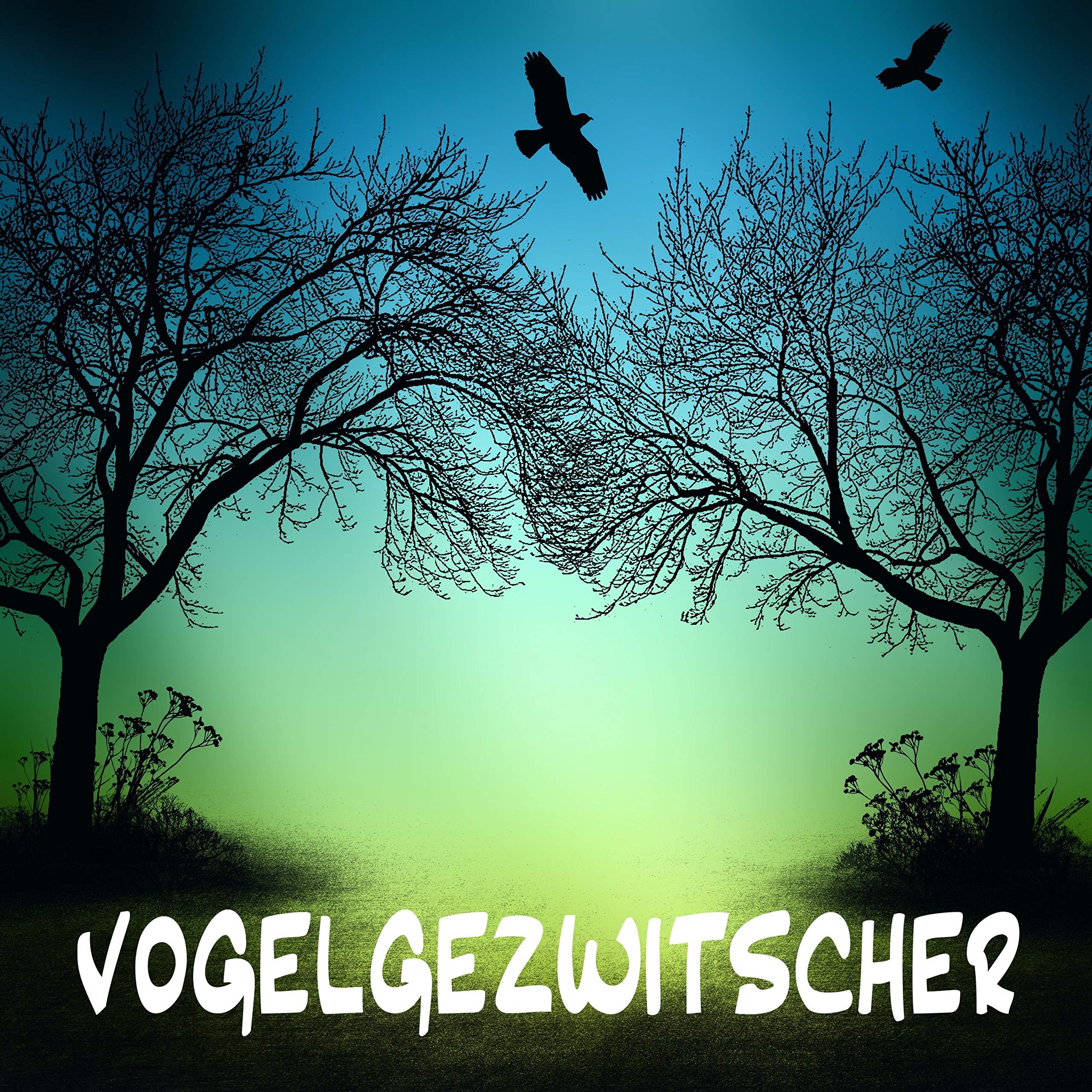 Vogelgezwitscher, Waldgeräusche & Vogelstimmen