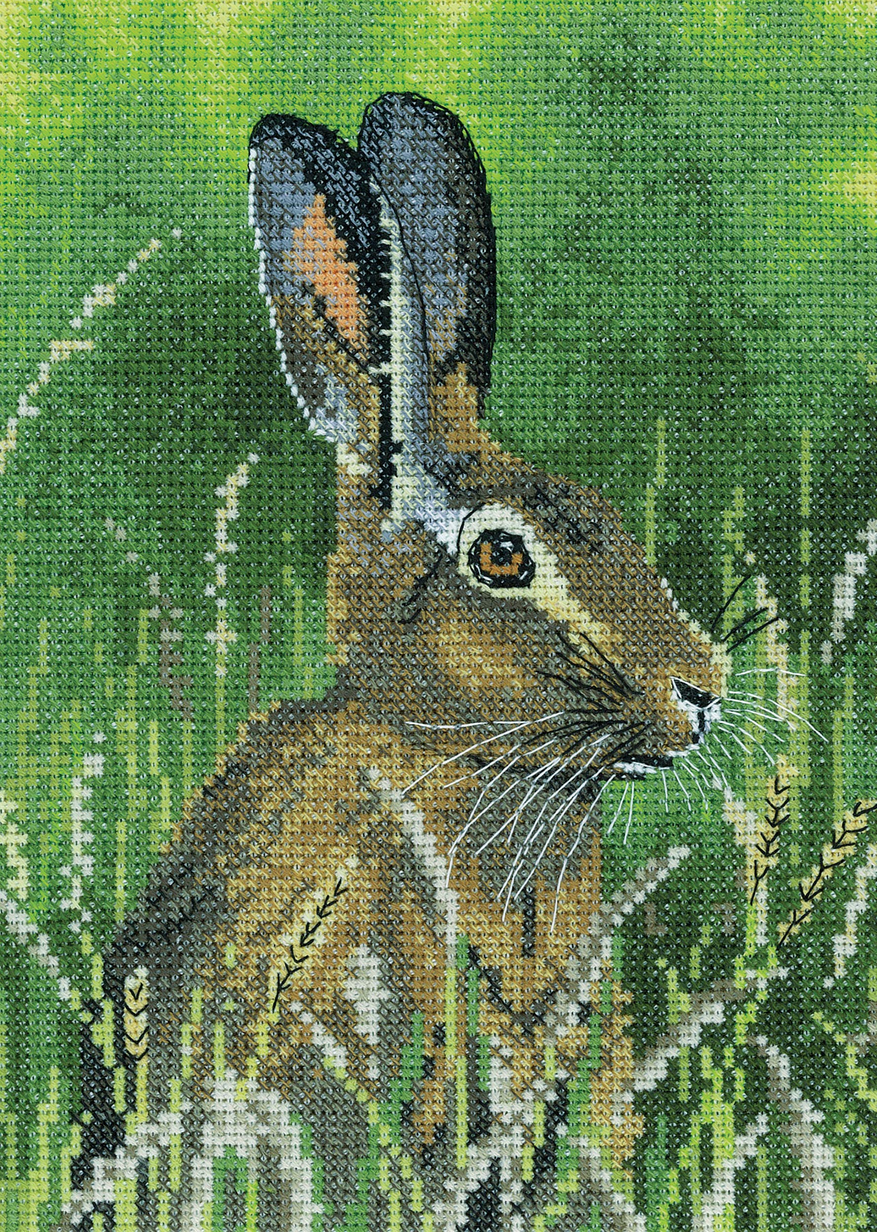 Heritage Crafts Clear Cross Stitch Kit - Hare (Aida)