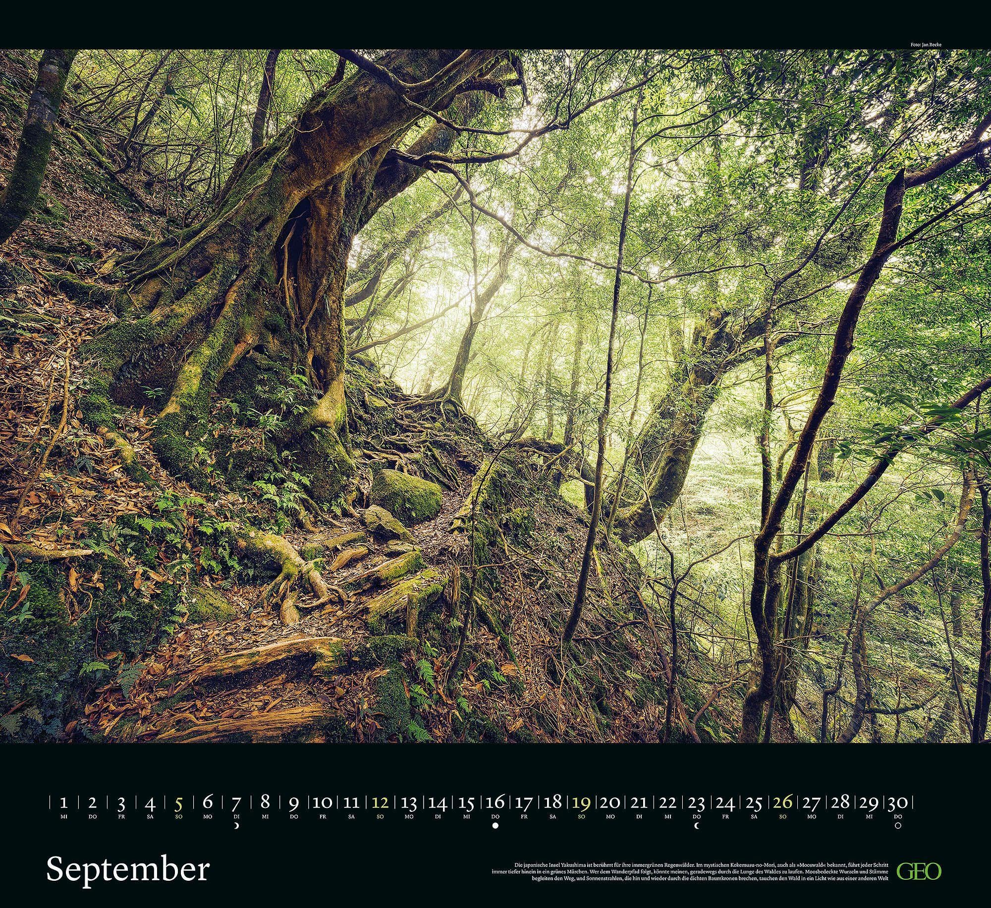 GEO Klassiker: Traumpfade 2027: Wandkalender 66x55 cm mit 12 Naturfotografien, deutschem Kalendarium und Spiralbindung | Wandkalender 66x55 cm mit 12 Naturfotografien, deutschem Kalendarium und Spiralbindung