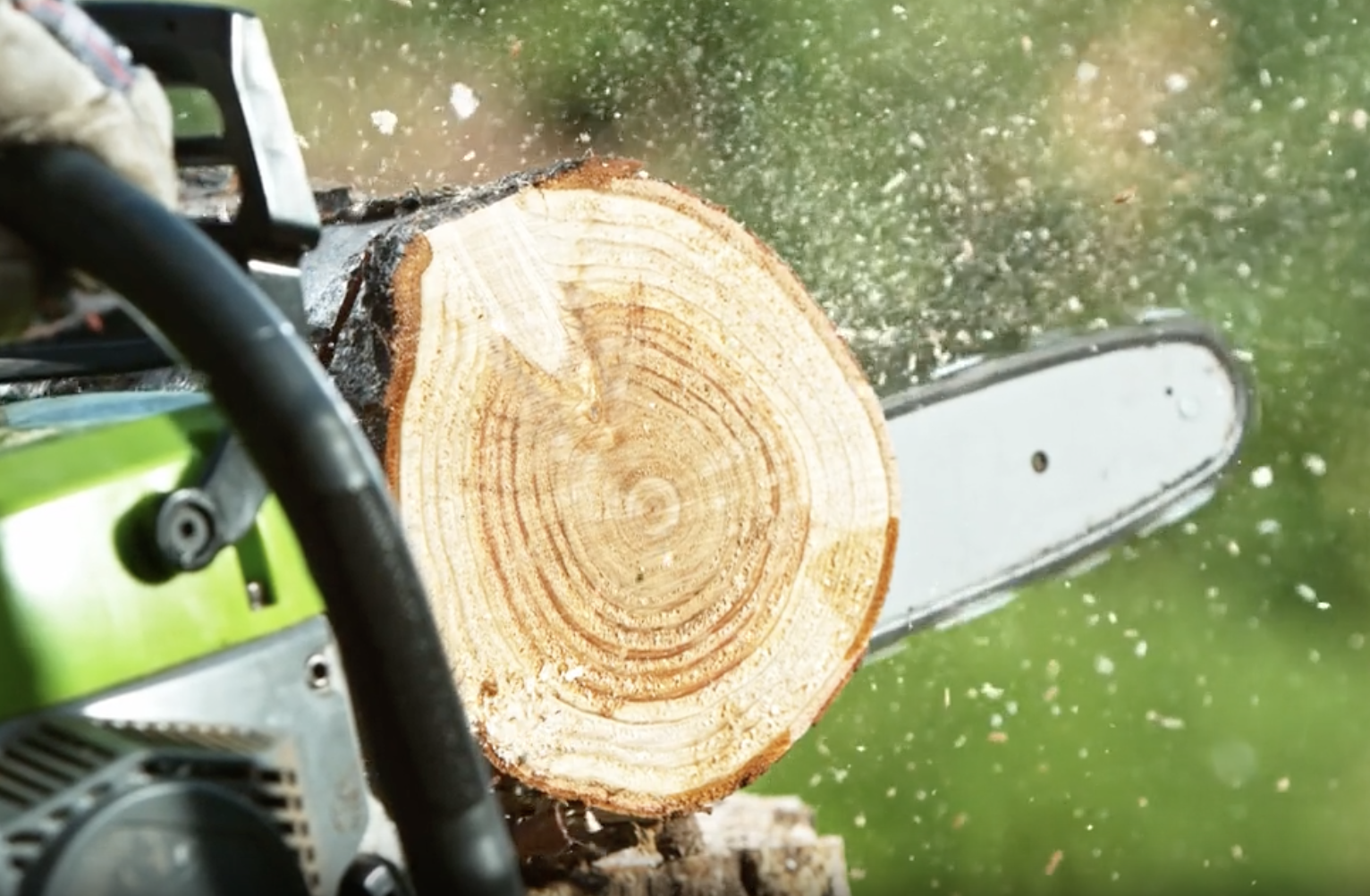 コレクション 20 81yMCr6O3XL._UF350,350_QL50_.jpg