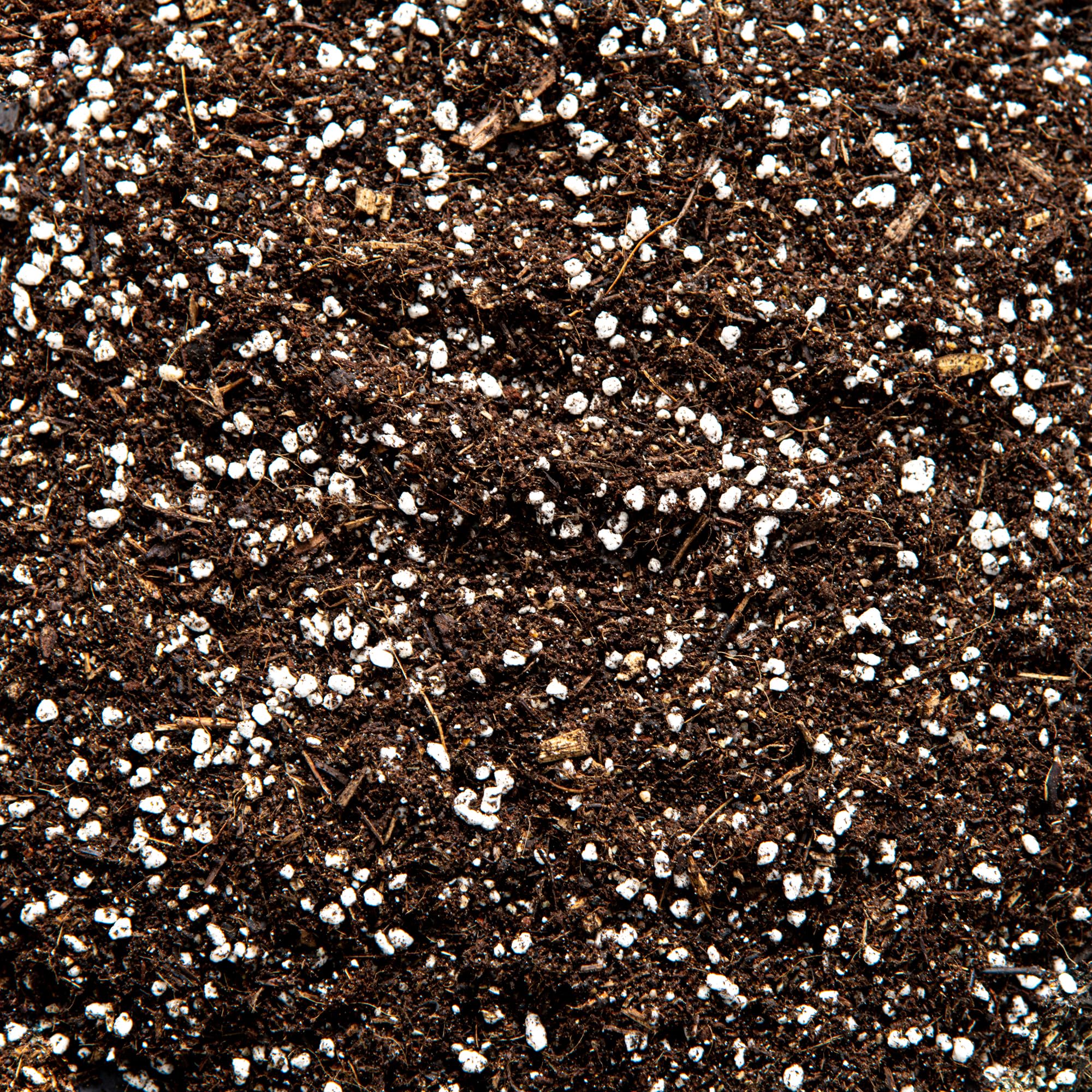 Carnivorous Plant Potting Mix – Premium Venus Flytrap, Pitcher Plant and Sundew Substrate with Perlite, Coco Coir and Leca for Healthy Growth and Strong Root Development (20L)