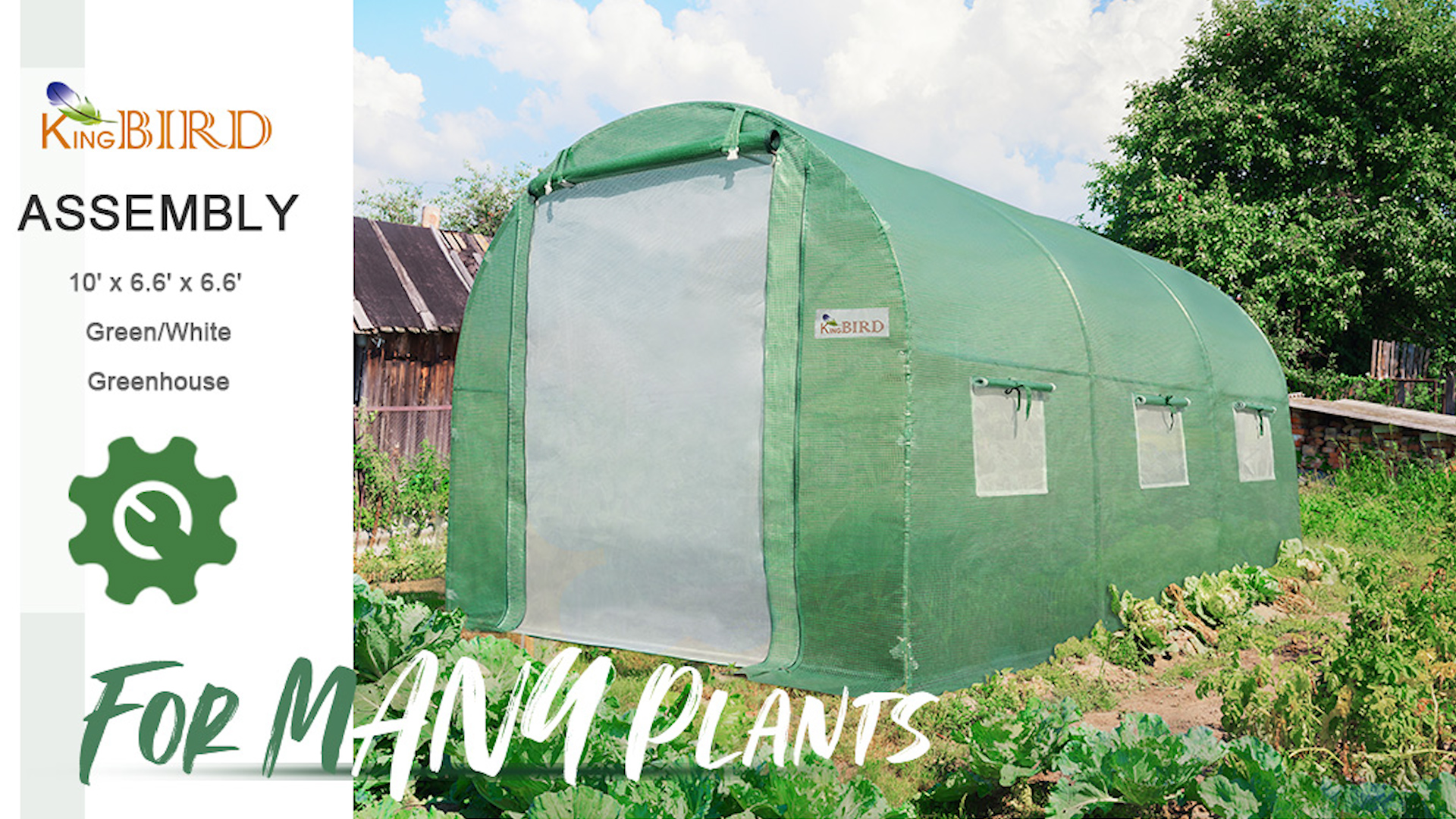 King Bird Premium 10x12x7 Greenhouse view 4
