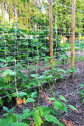 Miniatura 7 de Tenax Hortonova Plant Trellis Net Lm, 67 pulgadas x 328 pies, color blanco