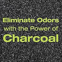 Vista 6 de OdoBan Eliminador de olores natural de carbón purificador de aire, fórmula no tóxica, bolsas de 0.35 oz, 72 en total, sin fragancia