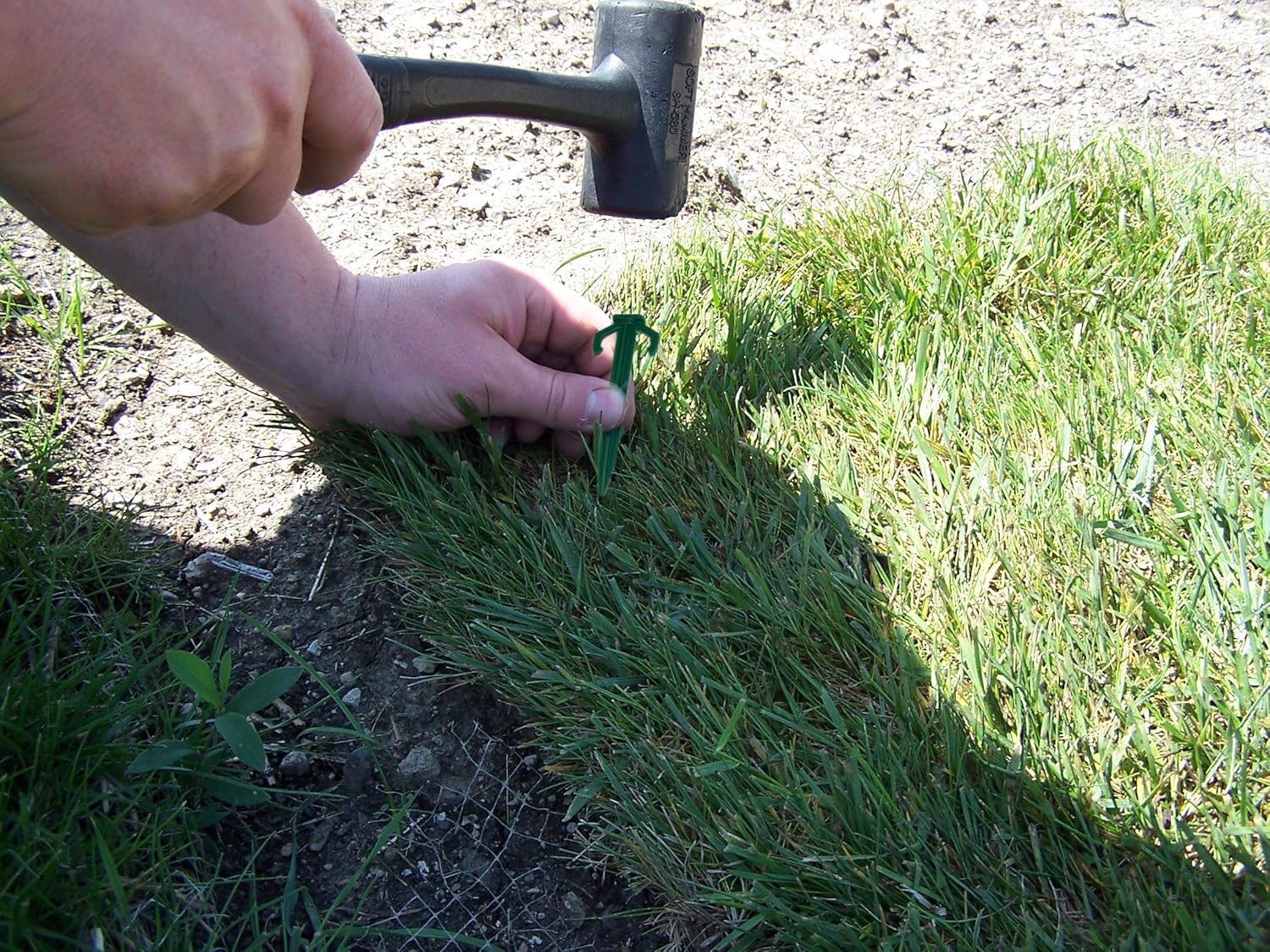 Heavy Duty Garden Stakes - Stronger Holding Power vs Metal Landscape Stakes - Made in USA - Biodegradable Over Time (No More Rusting Metal) (1000, 6" EcoDuty Stakes)