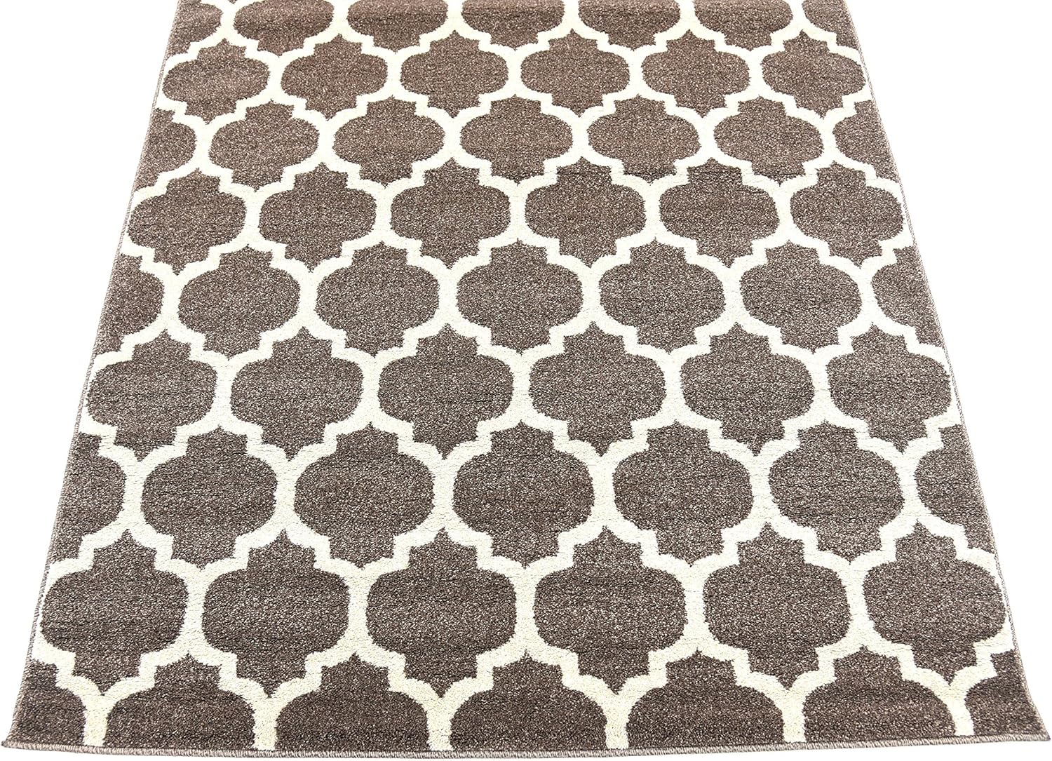 Brown Trellis 4' x 6' Stain-Resistant Synthetic Area Rug