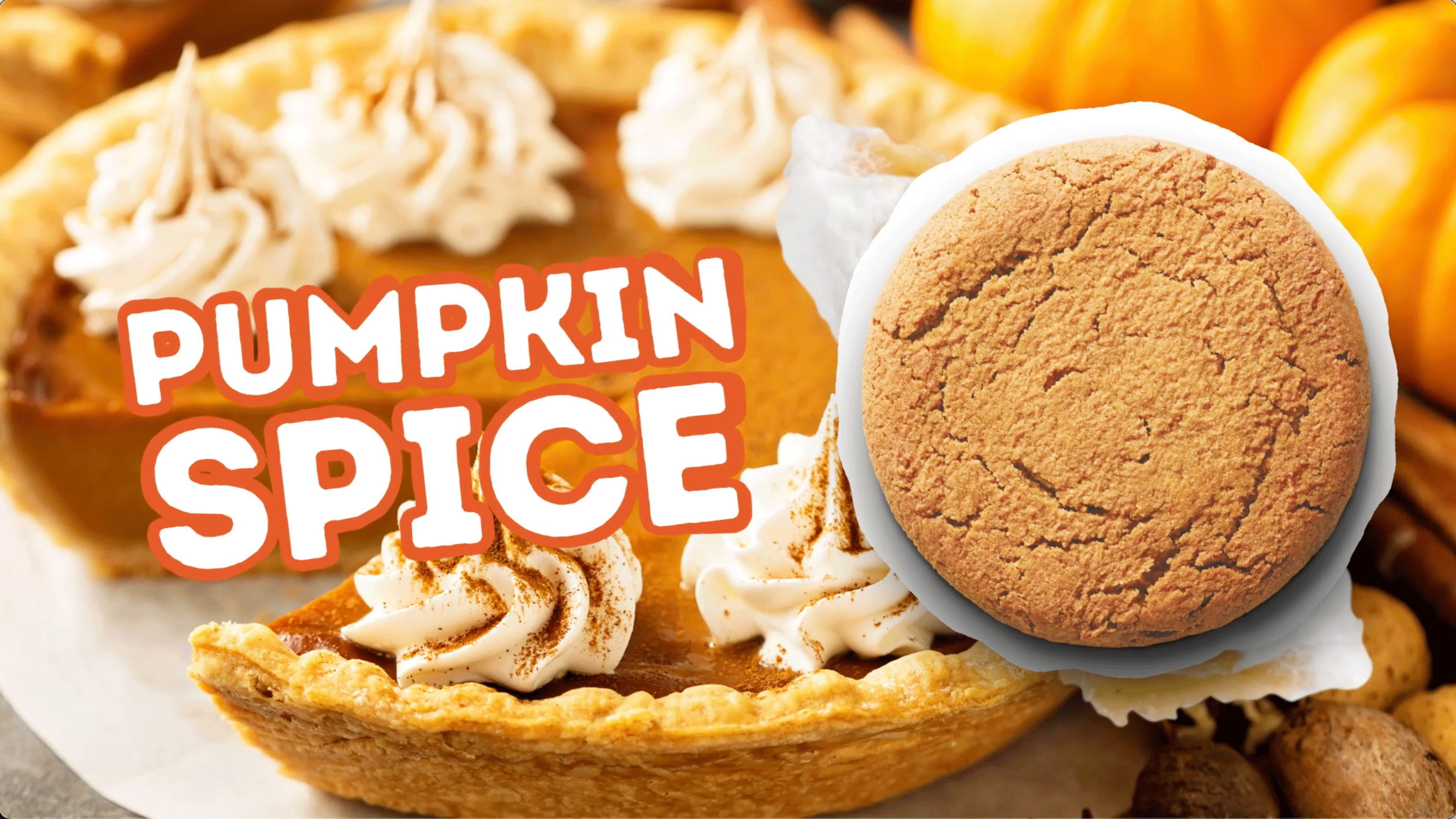 Amazon.com : Lenny & Larry's Complete Protein Cookie, [Pumpkin