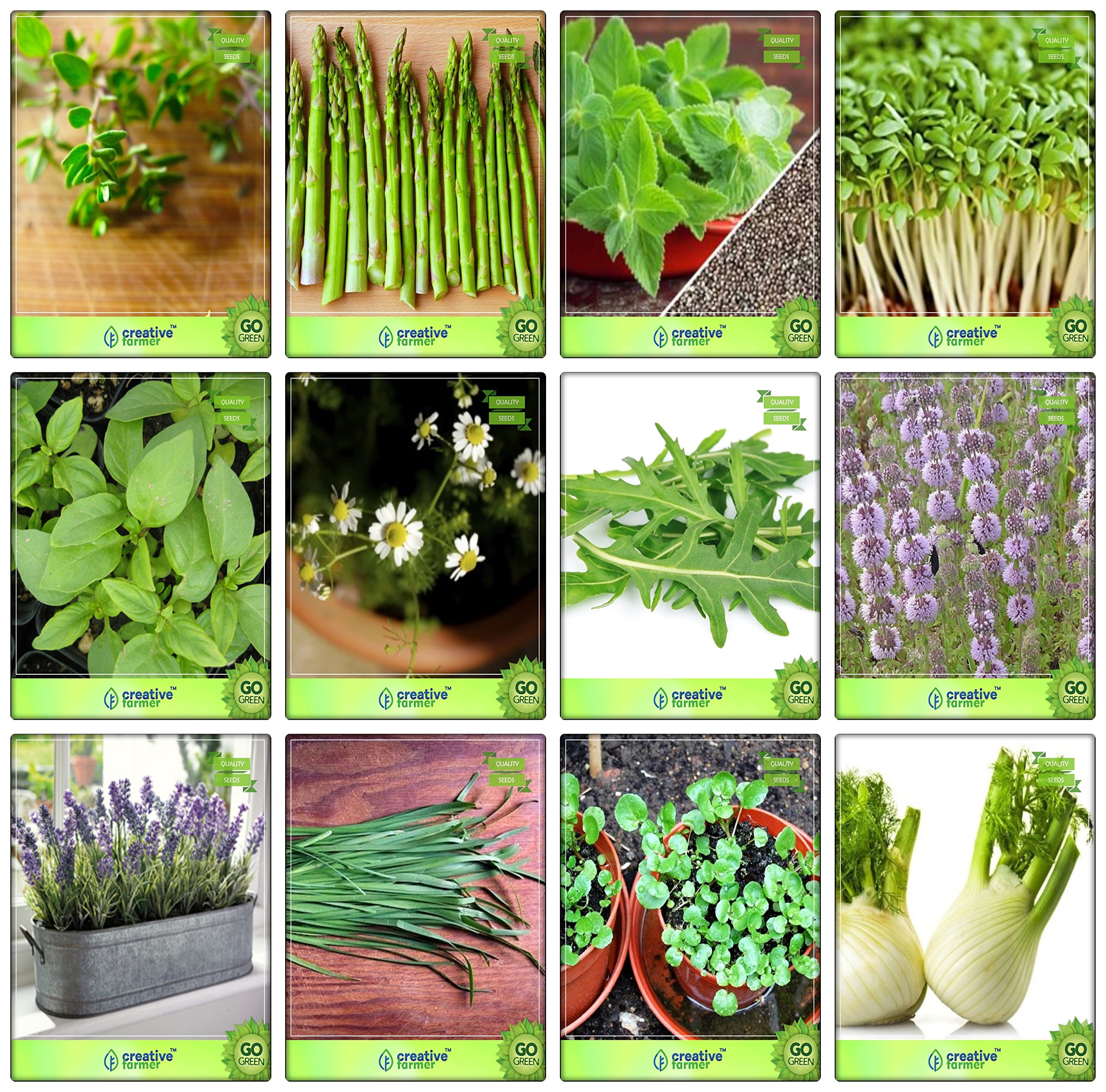 Creative Farmer Herbal Plants Seeds For Home Garden Thyme English Winter, Asparagus, Mint, Cress Common, Lemon Basil, German Chamomille, Wild Rocket, Penny Royal, Lavender, and Others -2 Packs (B078V3KZNW) Amazon Price History, Amazon Price Tracker