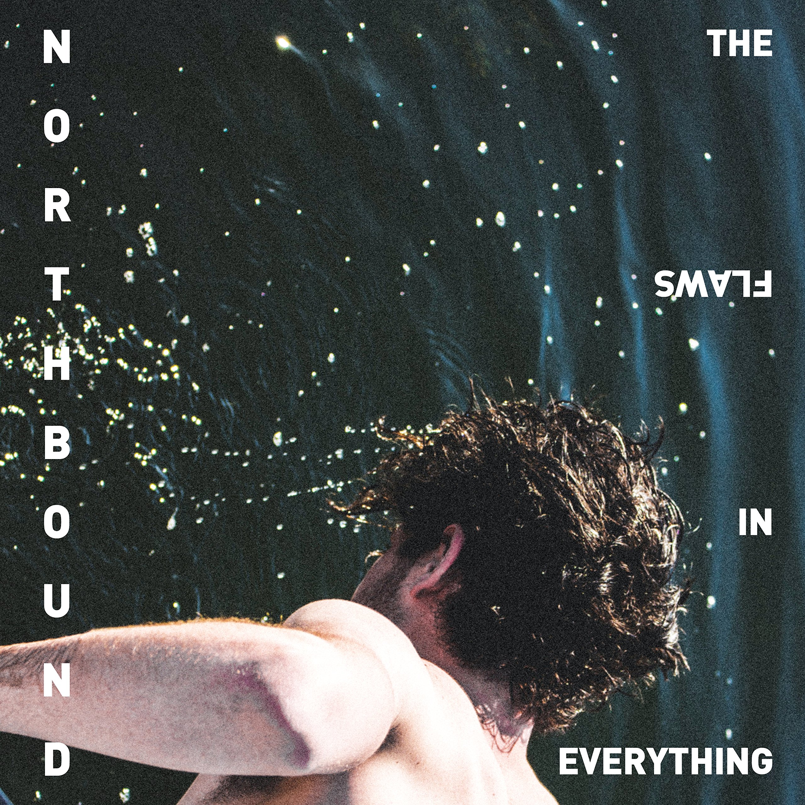 The Flaws In Everything (LP) [VINYL]