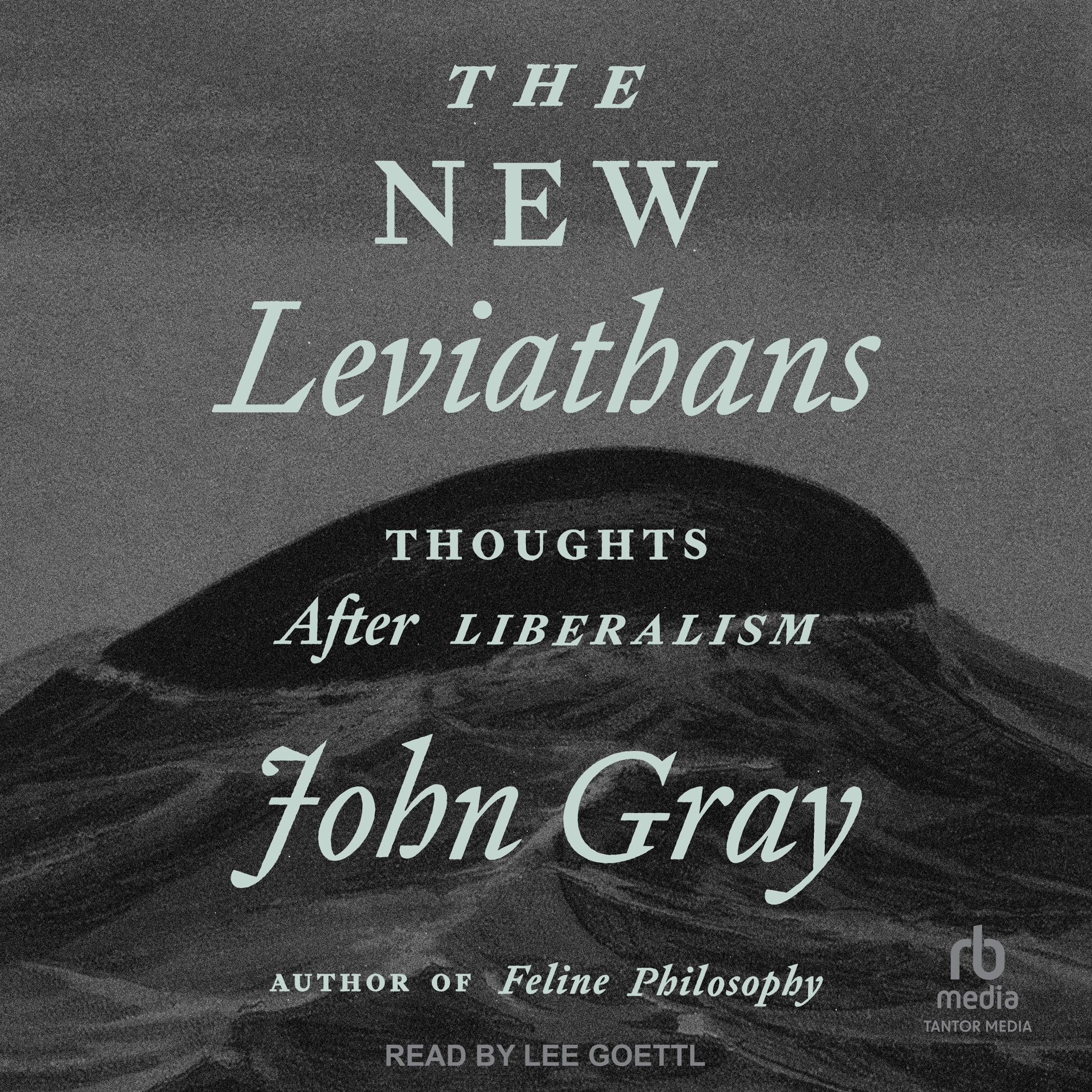 Cover art for The New Leviathans