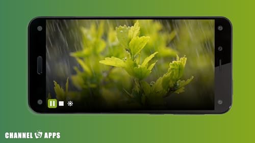 Som da Floresta de Chuva & Natureza: Som Relaxante da Chuva para Dormir e Meditar, Estudo, Sons da F