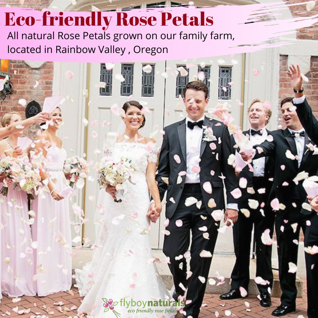Pétalos de rosa naturales biodegradables, 15 tazas para boda miniatura 7