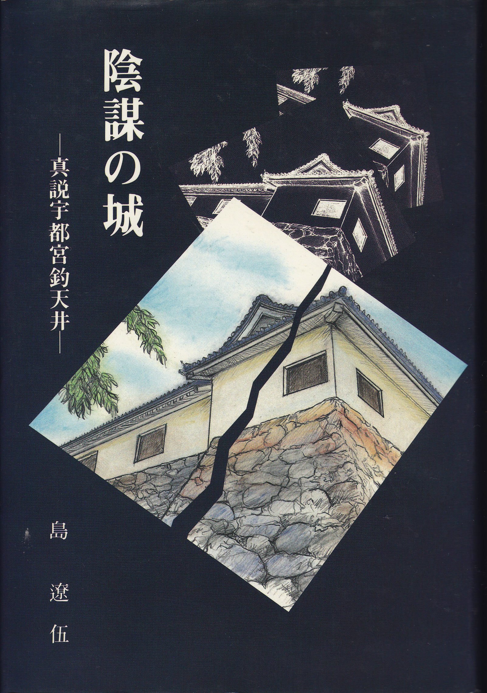 戊辰の城宇都宮城炎上 / 島遼伍