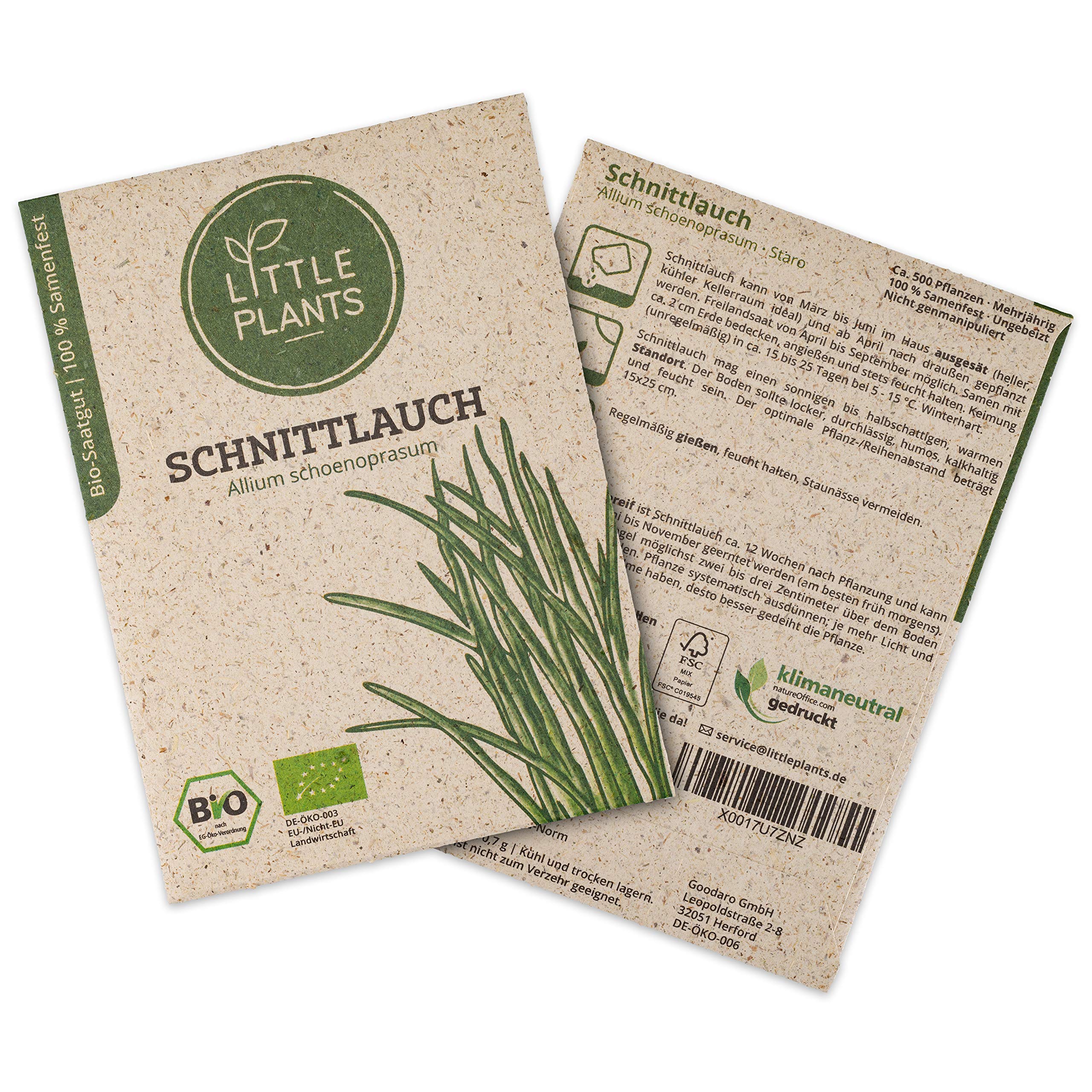 Little Plants BIO Schnittlauch Samen, 500 Schnittlauchsamen, hohe Keimrate, 100% Natürlich, BIO Samen Schnittlauch Staro für Kräutergarten Küchenkräuter Hochbeet – BIO Kräutersamen Nachhaltig