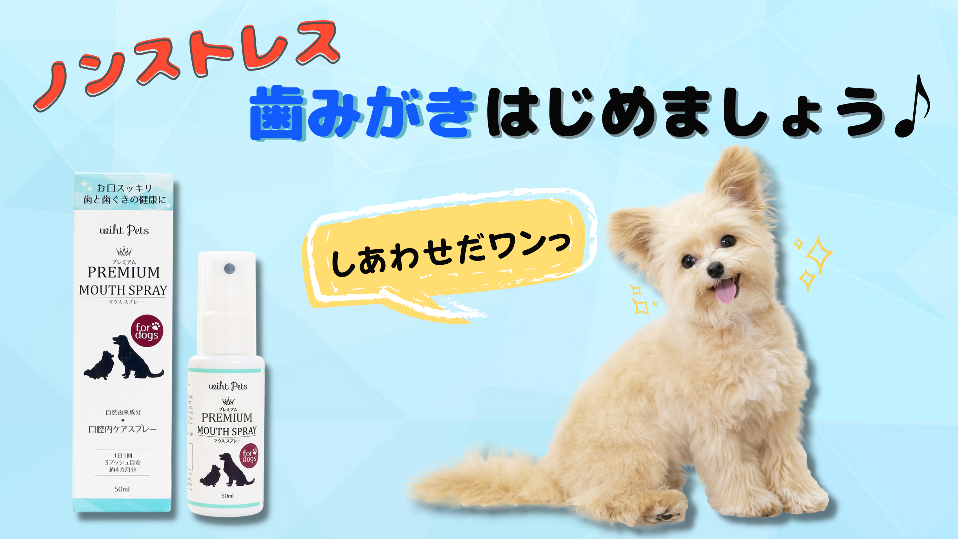 Amazon Co Jp 高光製薬 犬 ペット 歯みがき スプレー タイプ デンタルケア ミスト 歯石 自然由来 100 日本製 50ml ペット用品