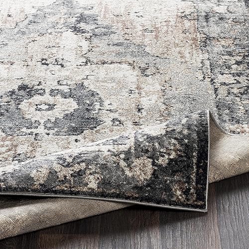 Miniatura 8 de Mark&Day - Alfombra Bowen tradicional de 9 x 12 pies, color gris y blanco, beige, para sala de estar, dormitorio o cocina (8 pies 10 pulgadas x 12