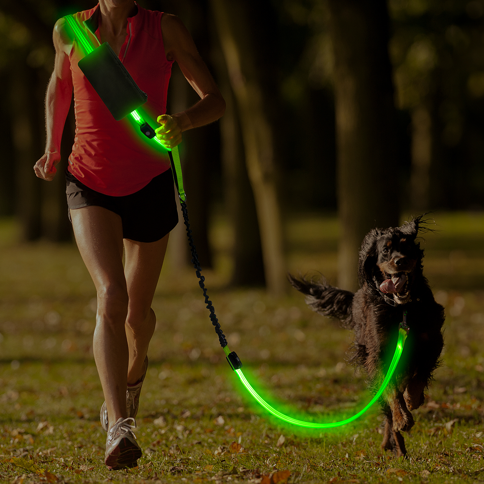 Waist Dog Leash Hands Free Dog Leash Retractable Bungee Heavy Duty