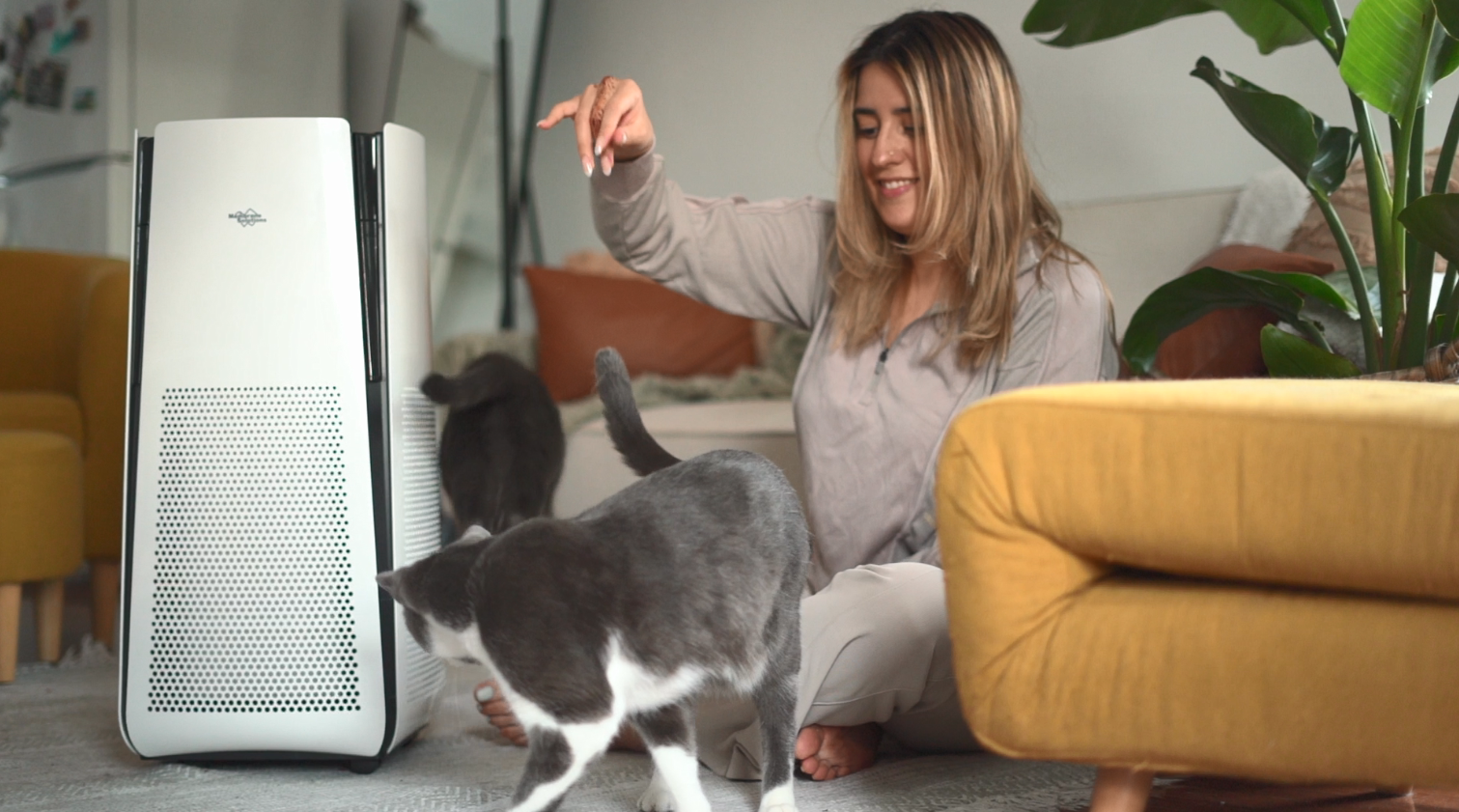 Amazon.com: Membrane Solutions Air Purifiers for Home Large Room