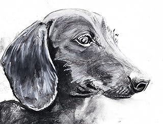 Dachshund Art Print, Dachshund Owner Gift Idea, Dachshund Drawing Print, Black White Doxie wall art, Choice of size Hand signed by Oscar Jetson (a4)