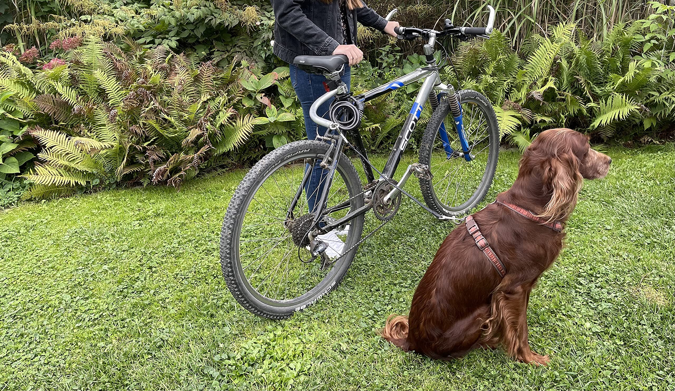Barra de bicicleta para perros, espaciador, correa para perros, barra de guía, sillín de bicicleta