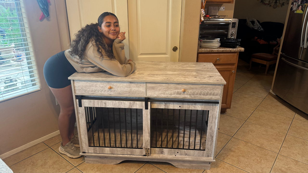 Watch Large Dog Crate Pros and Cons on Amazon Live