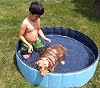 Foldable Dog Bath Swimming Pool Collapsible Pet Bathing Pool, Kids Bath Tub Kiddie Swimming Pool for Small, Medium and Large Dogs, and Cats and Kids Medium 40x12