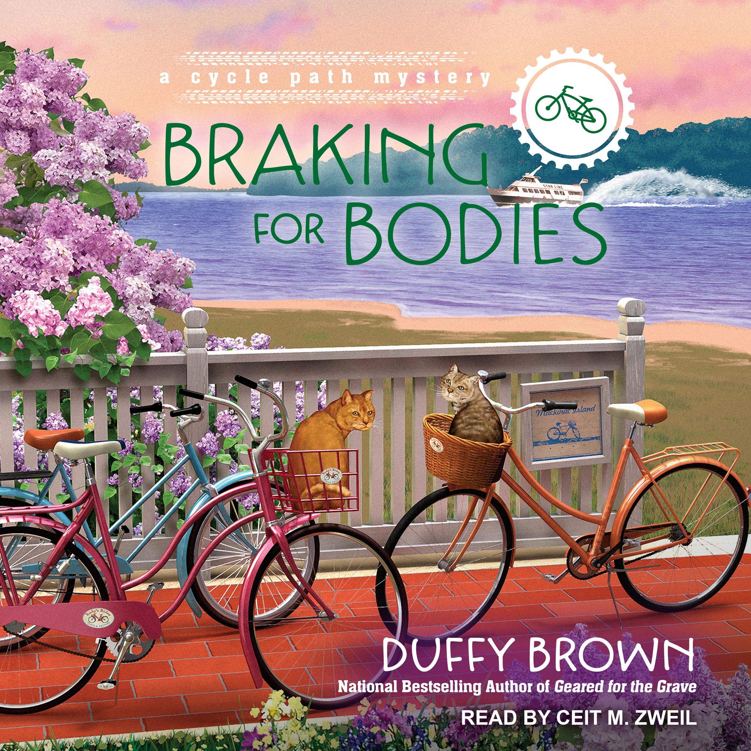 Cover art for Braking for Bodies