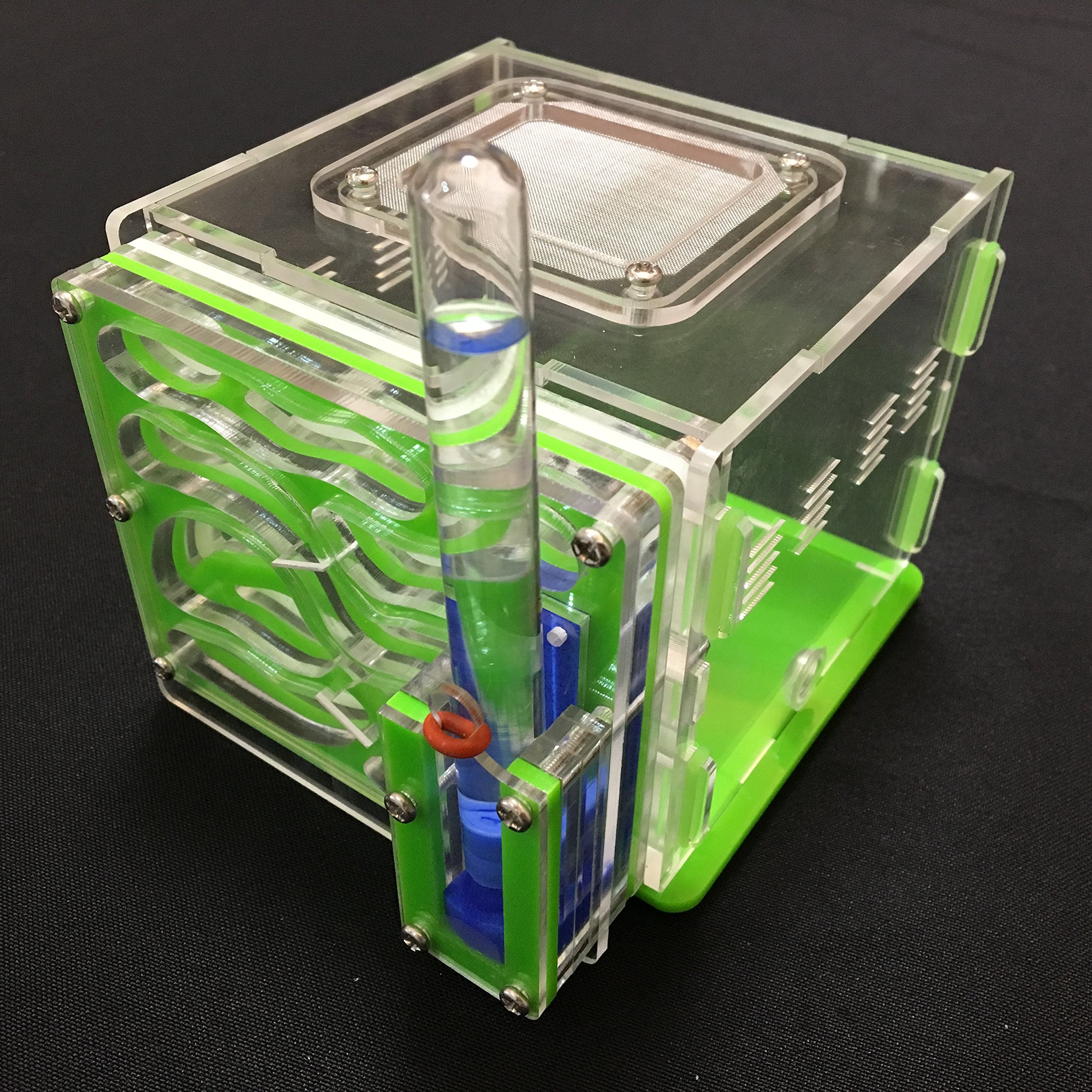 Vivarium/ferme à fourmis avec zone d’alimentation et nid - Acrylique