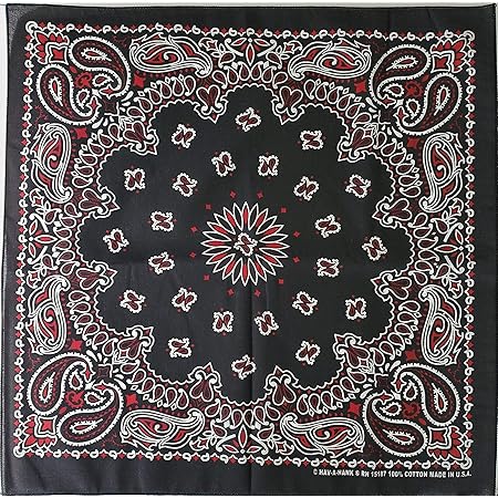 Amazon Com Carolina Hav A Hank Paisley Bandanna 22 Inch By 22 Inch Black Red White Arts Crafts Sewing