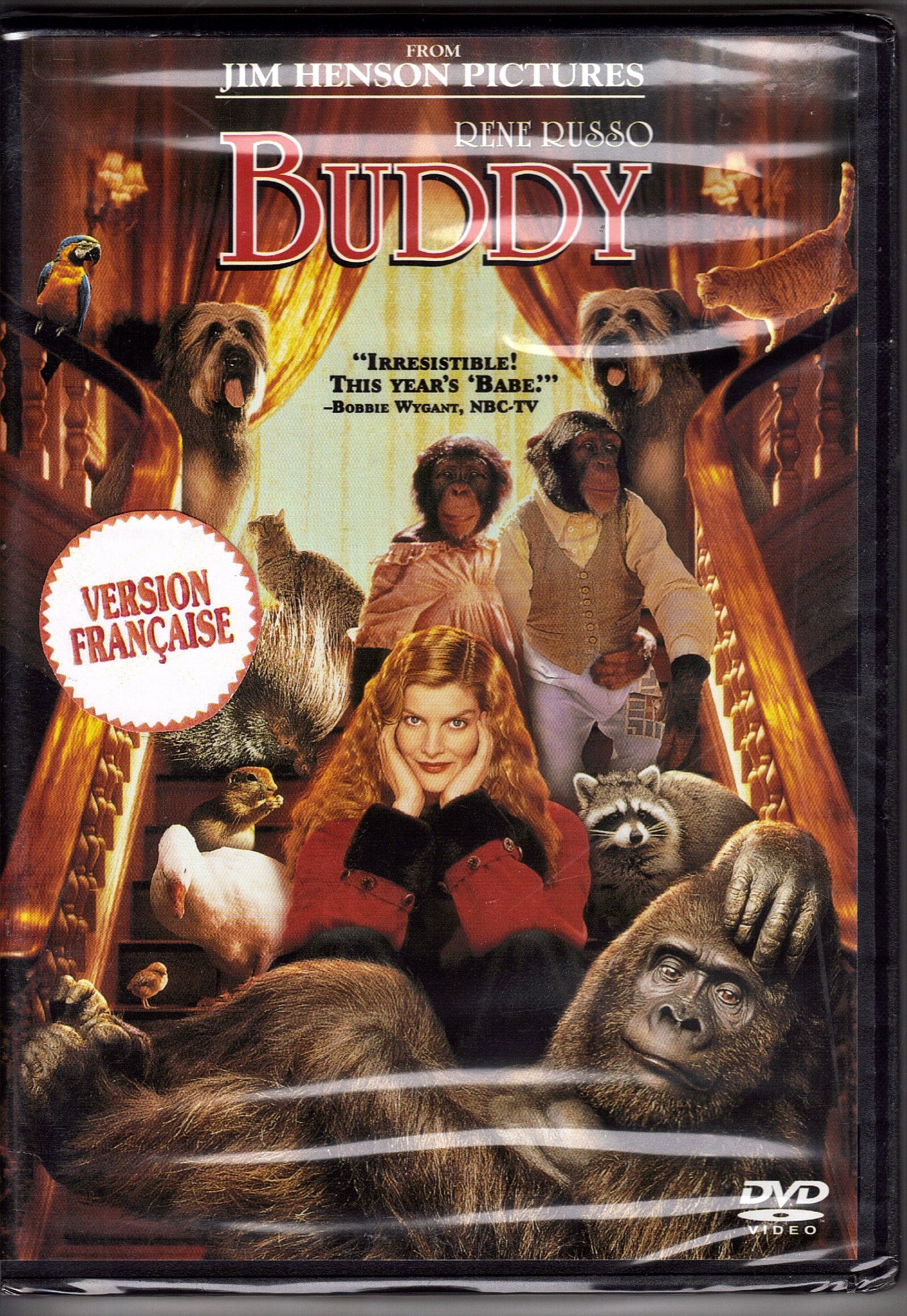k*様 G0330-08★DVD / RUSS MEYER'S WILD BOX Buddy | Amazon.com.br