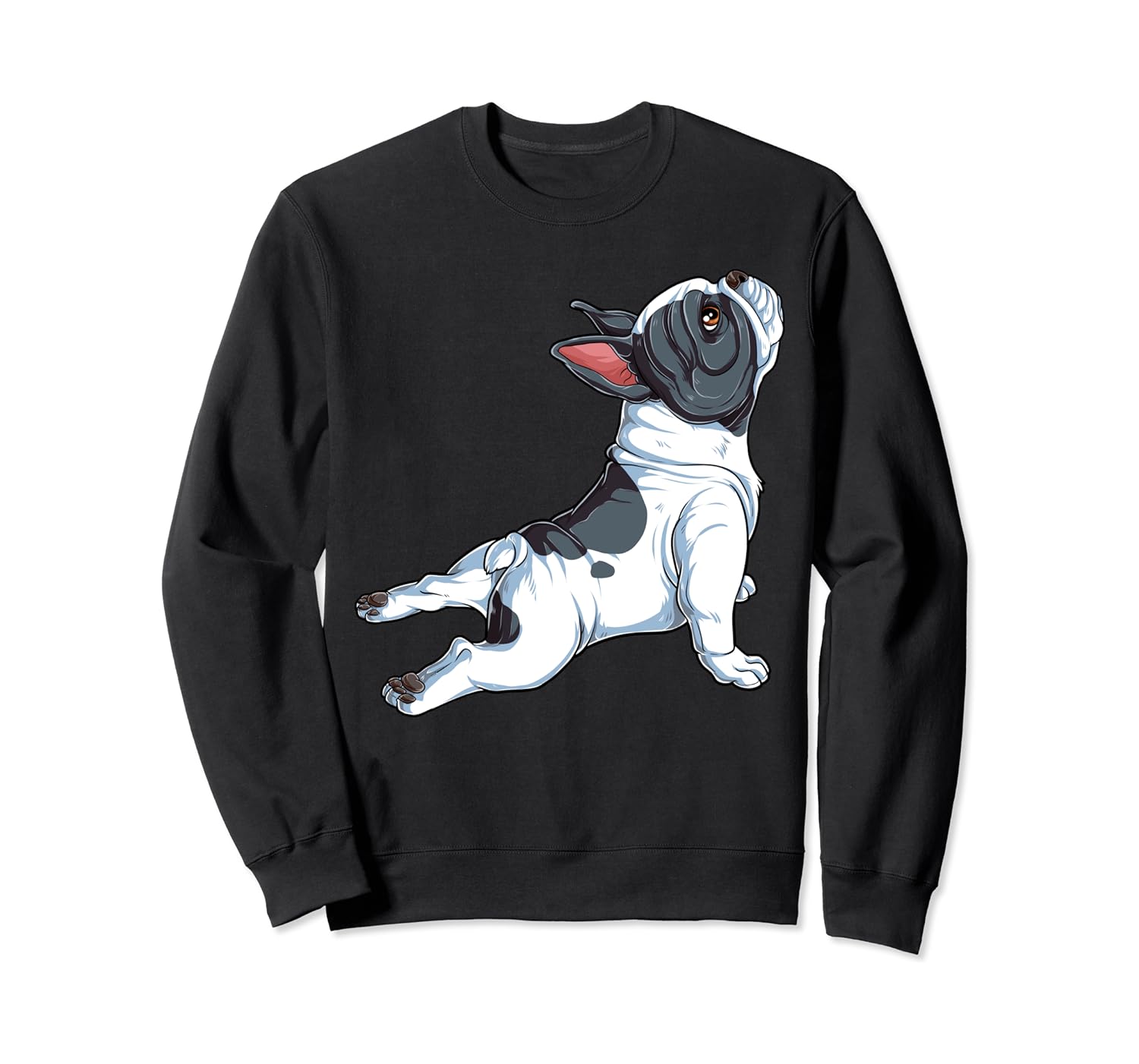 h and m frenchie sweatshirt