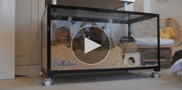 【Hamster Whisperer】BUCATSTATE 100 Amazon.com : BUCATSTATE Hamster Cage Metal 2.0 - Small