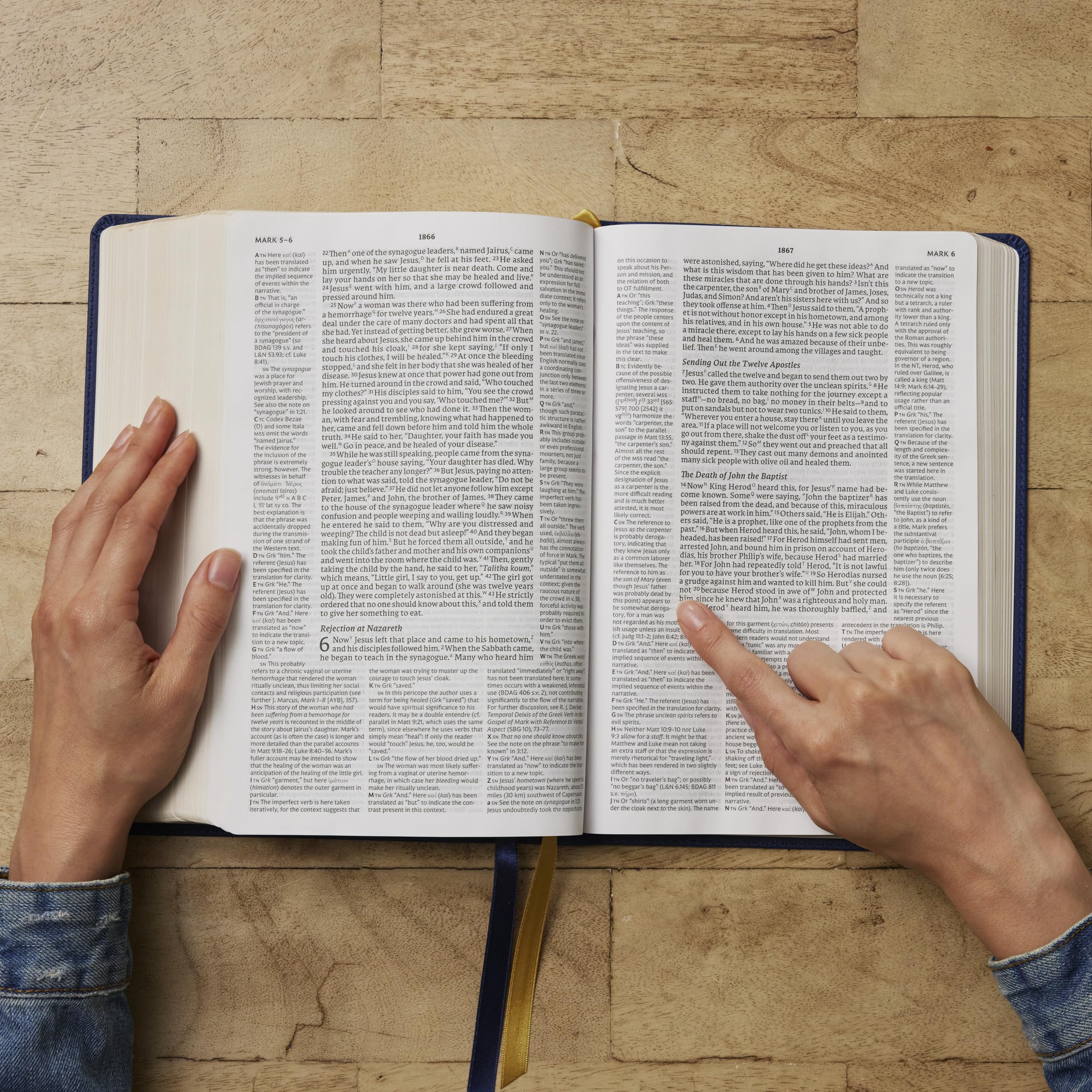 Net Bible, Full Notes Edition (Net, Blue Leathersoft, Comfort Print): Holy Bible