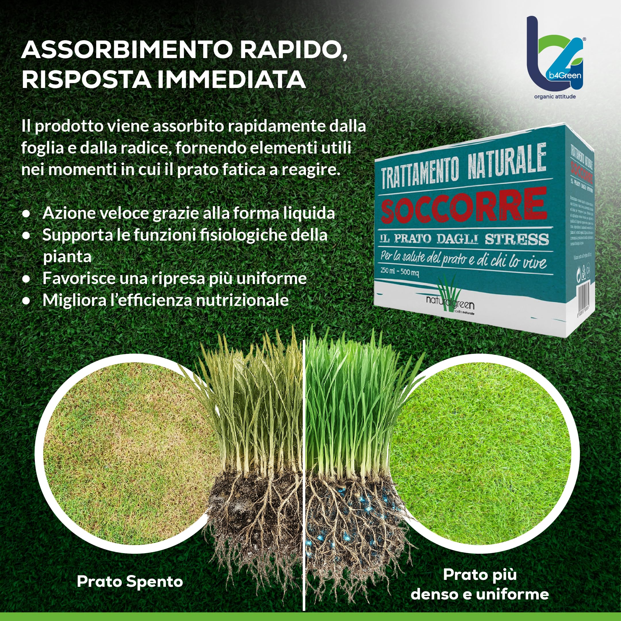 B4Green Soccorre (500m²) – Rinverdente Prato Estate, Biostimolante per Piante Naturale Liquido contro Ingiallimento e Stress da Caldo per Prato Verde e Resistente 250ml