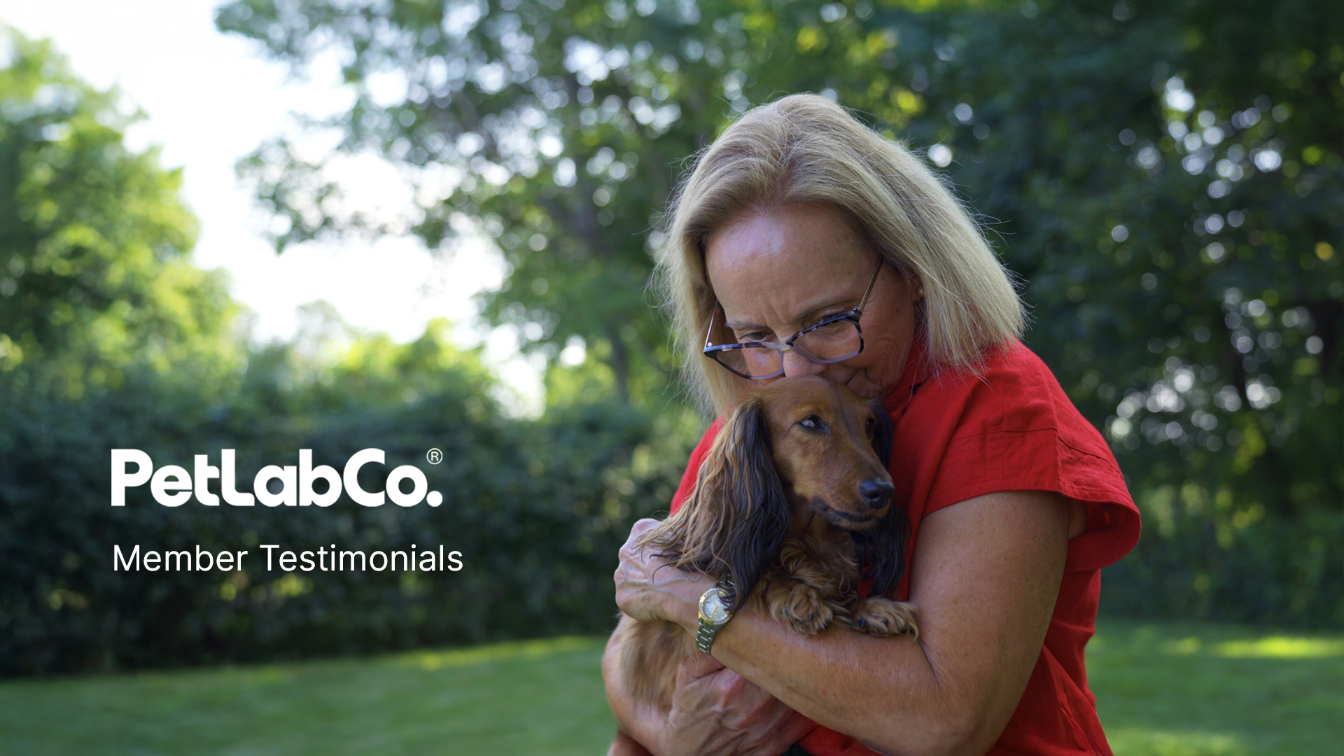 PetLab Co. Cat and Dog Dental Formula, Keep Dog Breath Fresh and Teeth Clean, Supports Gum Health - Water Additive Dental Care Targets Tartar - Packaging May Vary - image 7