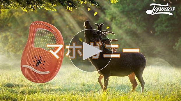 弦楽器　ライアー Amazon | 19弦木製ハープ ライアー ハープ 金属弦 弦楽器