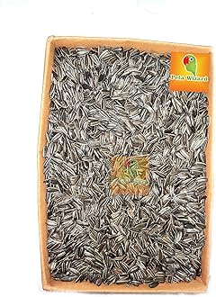 Small Size Sunflower Seeds for Bird, [900 gram]