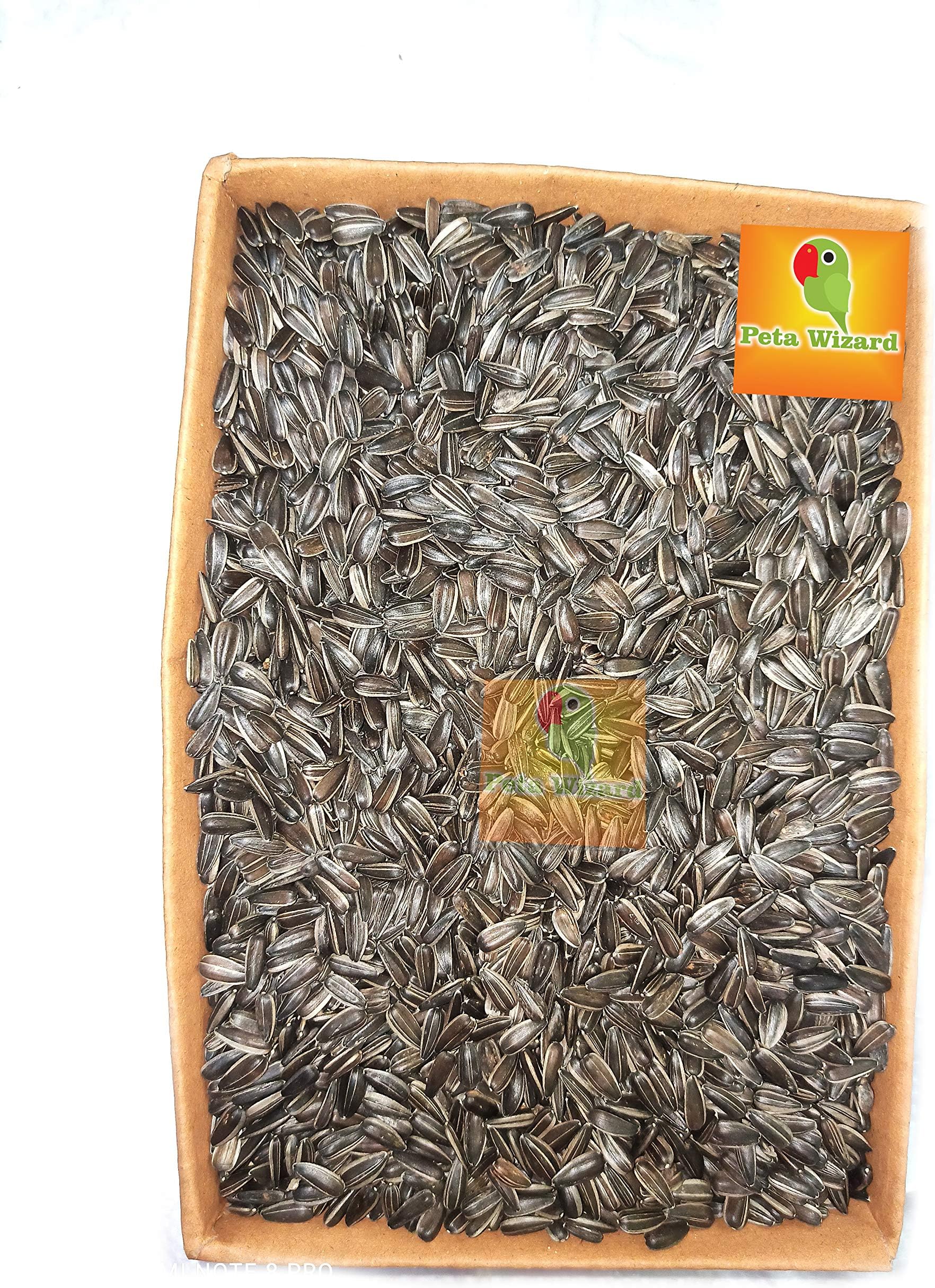Small Size Sunflower Seeds for Bird, [900 gram]