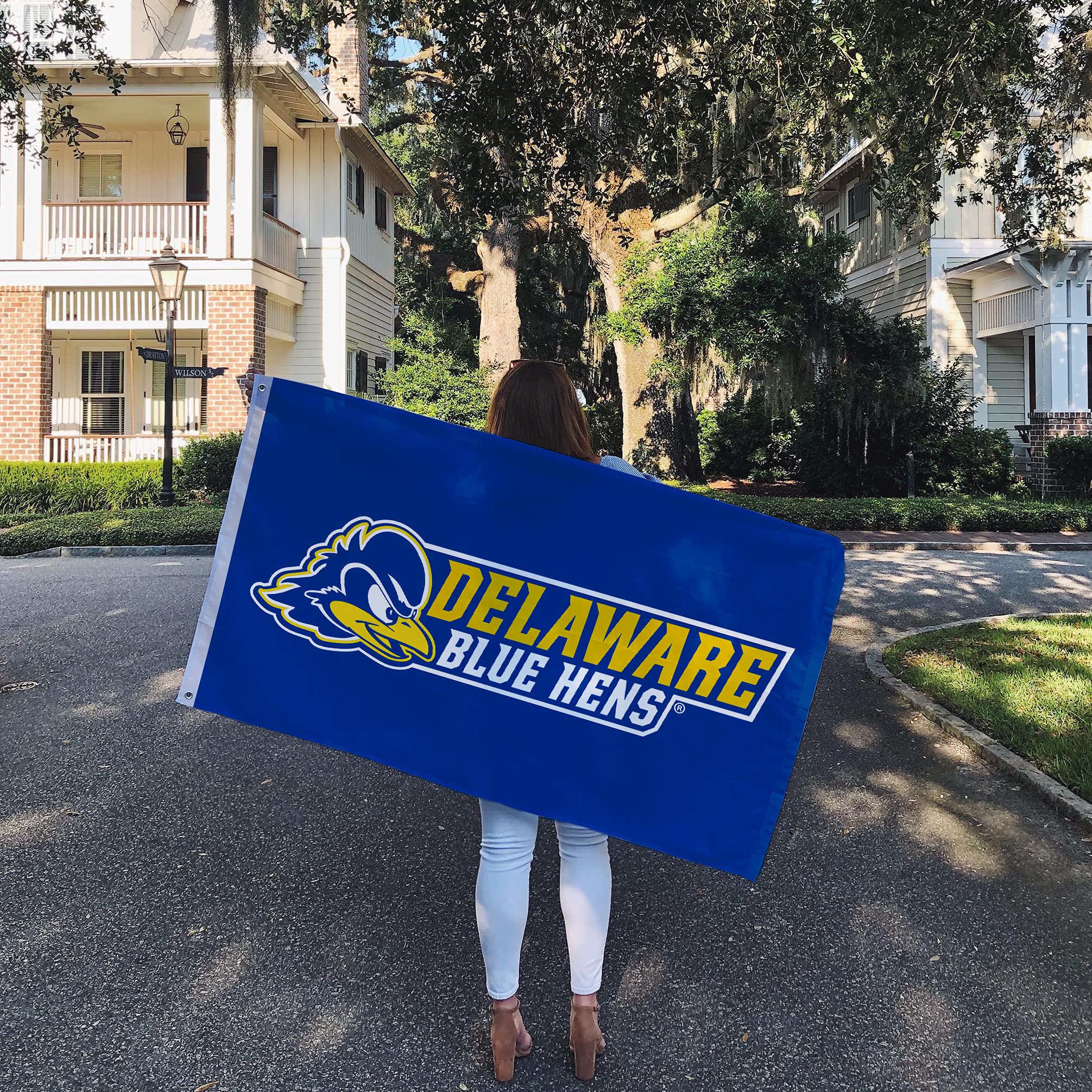 Delaware Blue Hens Flag – 3x5 Foot Polyester, Officially Licensed, Grommets For Outdoor Use