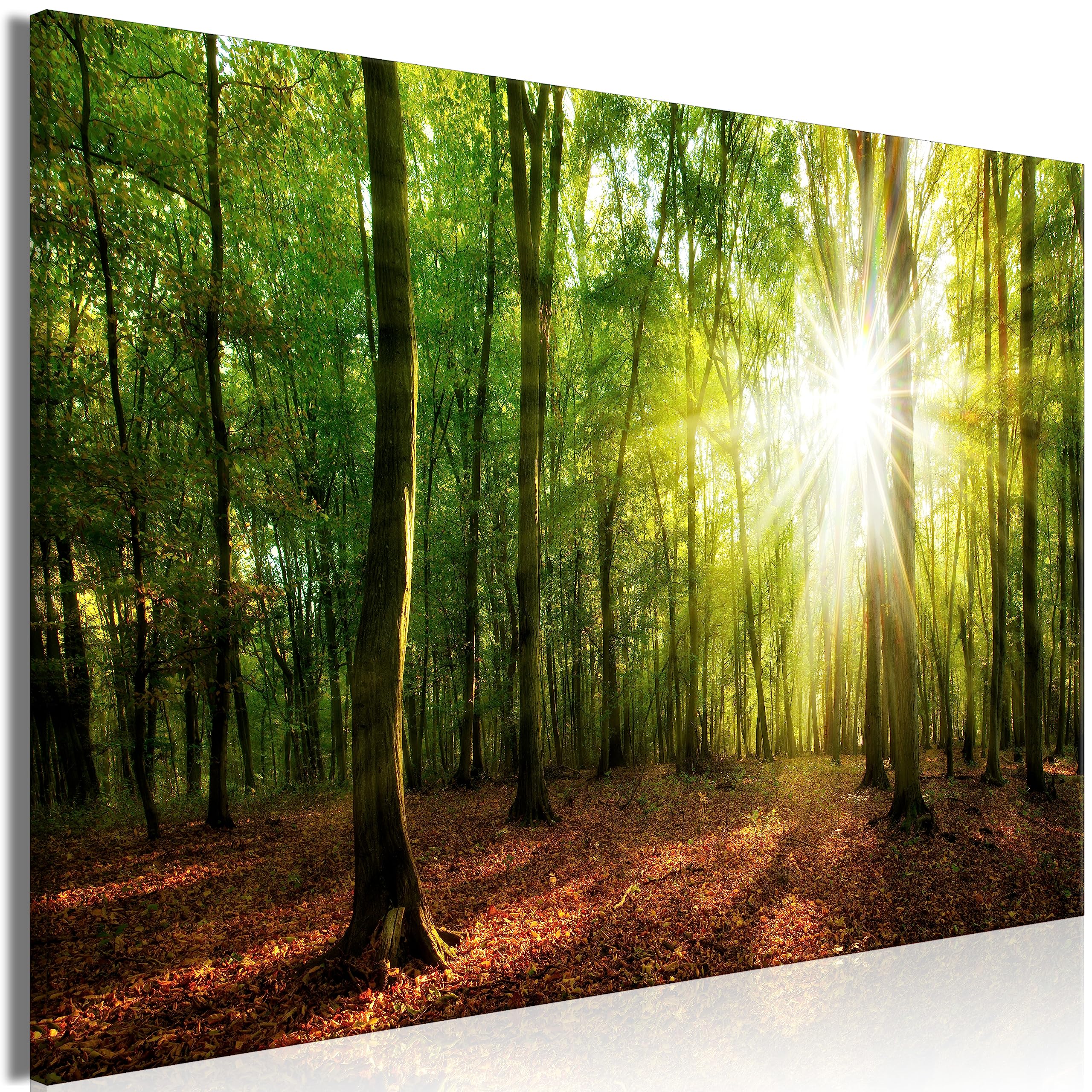 murando Cuadro Acústico Bosque 120x80 cm espuma acústica absorbe el sonido | aislamiento lienzo de 1 pieza Impresión Artística Decoración de Pared Paisaje Naturaleza Panorama Albero