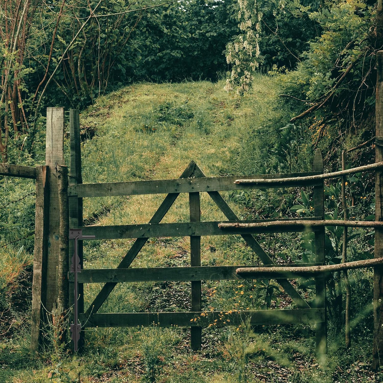 24 Inch Cane Bolt Gate Drop Rod, Heavy Duty Gate Latch, Cane Bolts for Wood Vinyl Metal Fences Gates-(Black Finish,1 Pack)