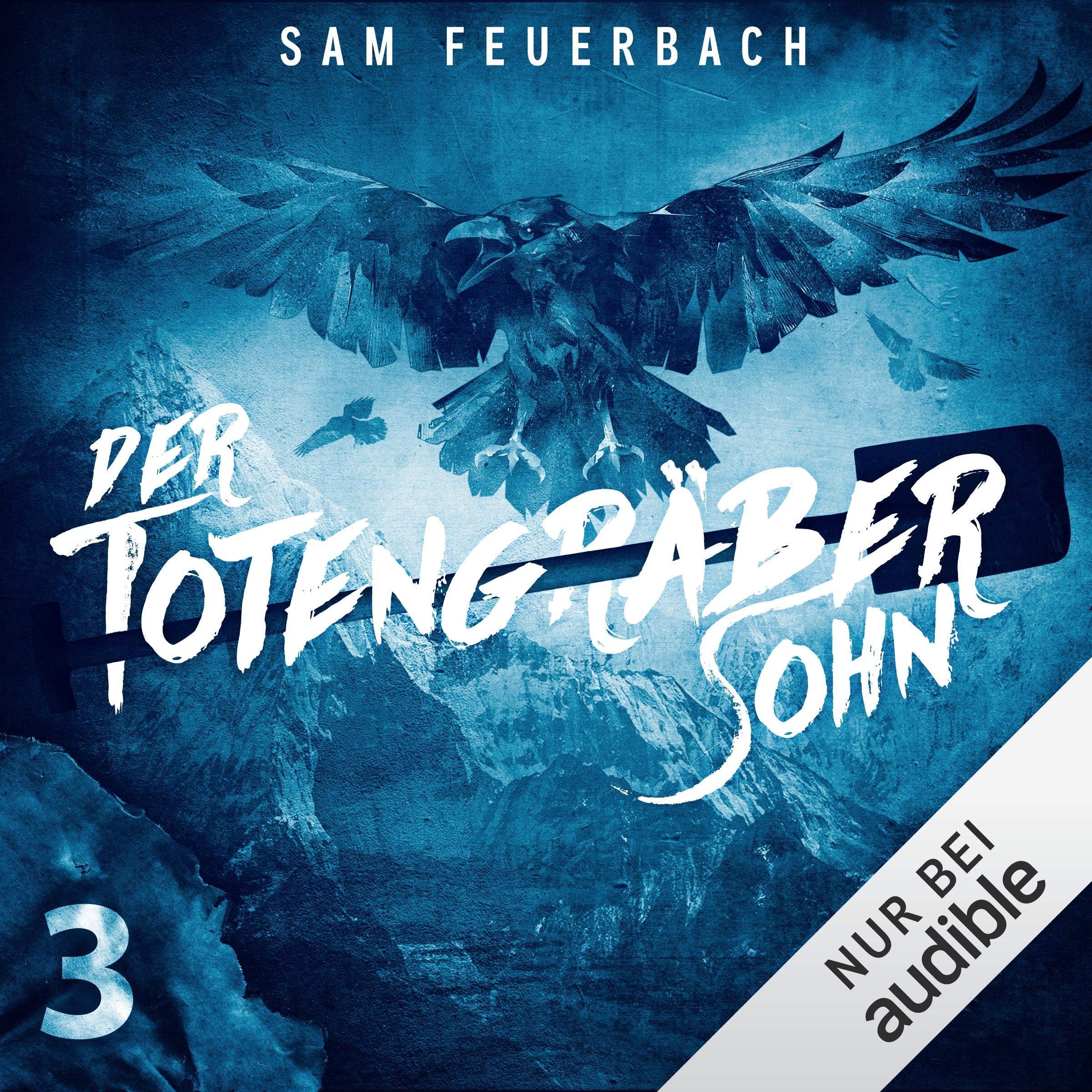 Cover art for Der Totengräbersohn 3