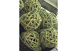 Enhance your Décor with Long Decorative Trays and Mossy Touches