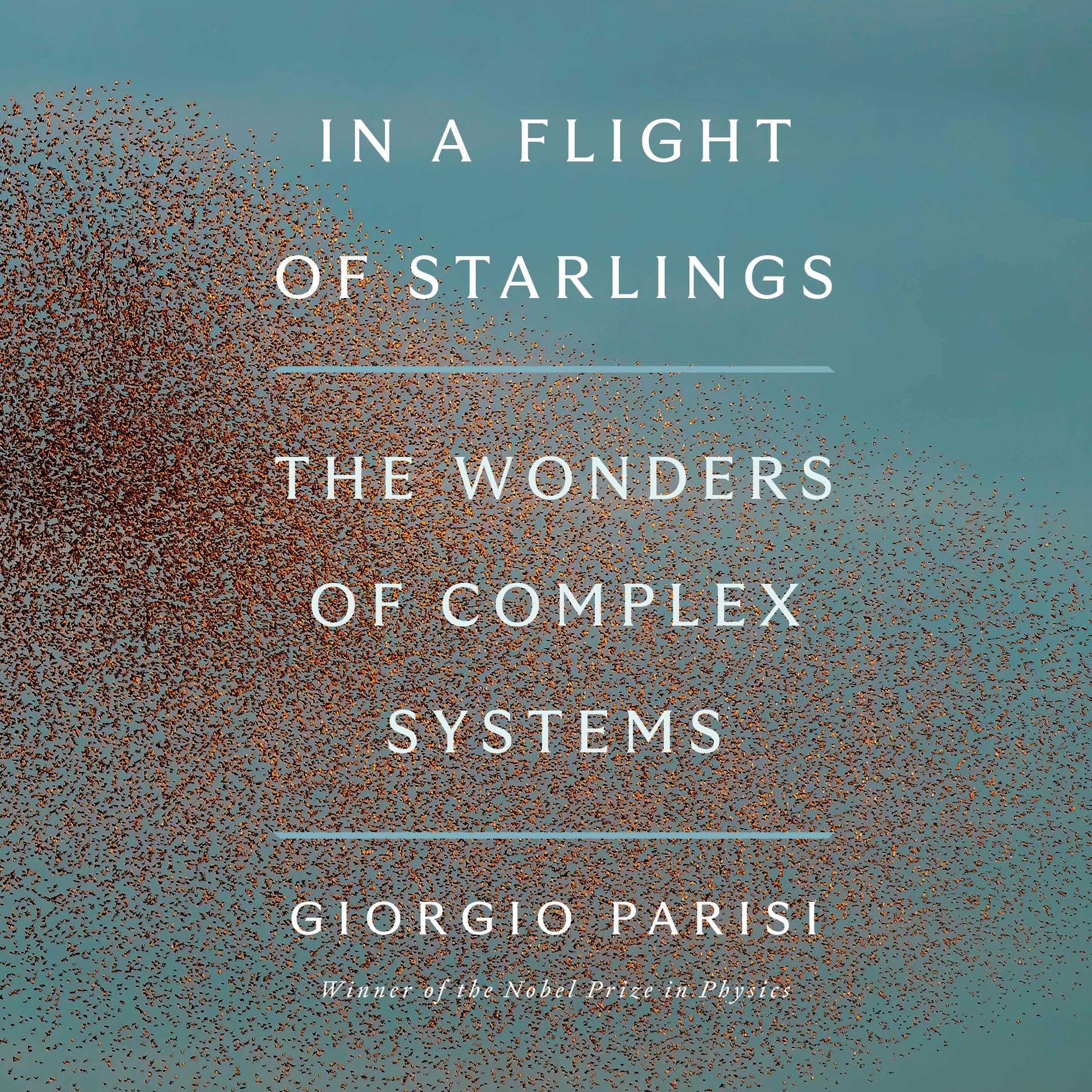 Cover art for In a Flight of Starlings