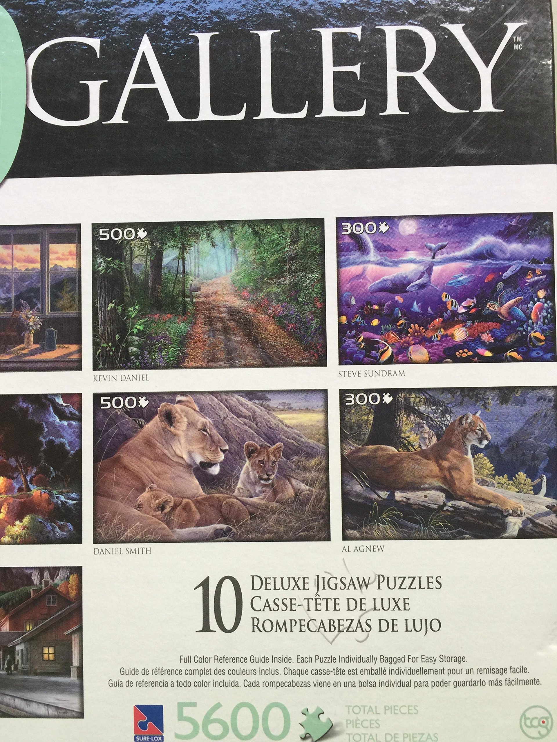 Amazon.com: 10 art gallery deluxe Puzzle in box : Toys & Games