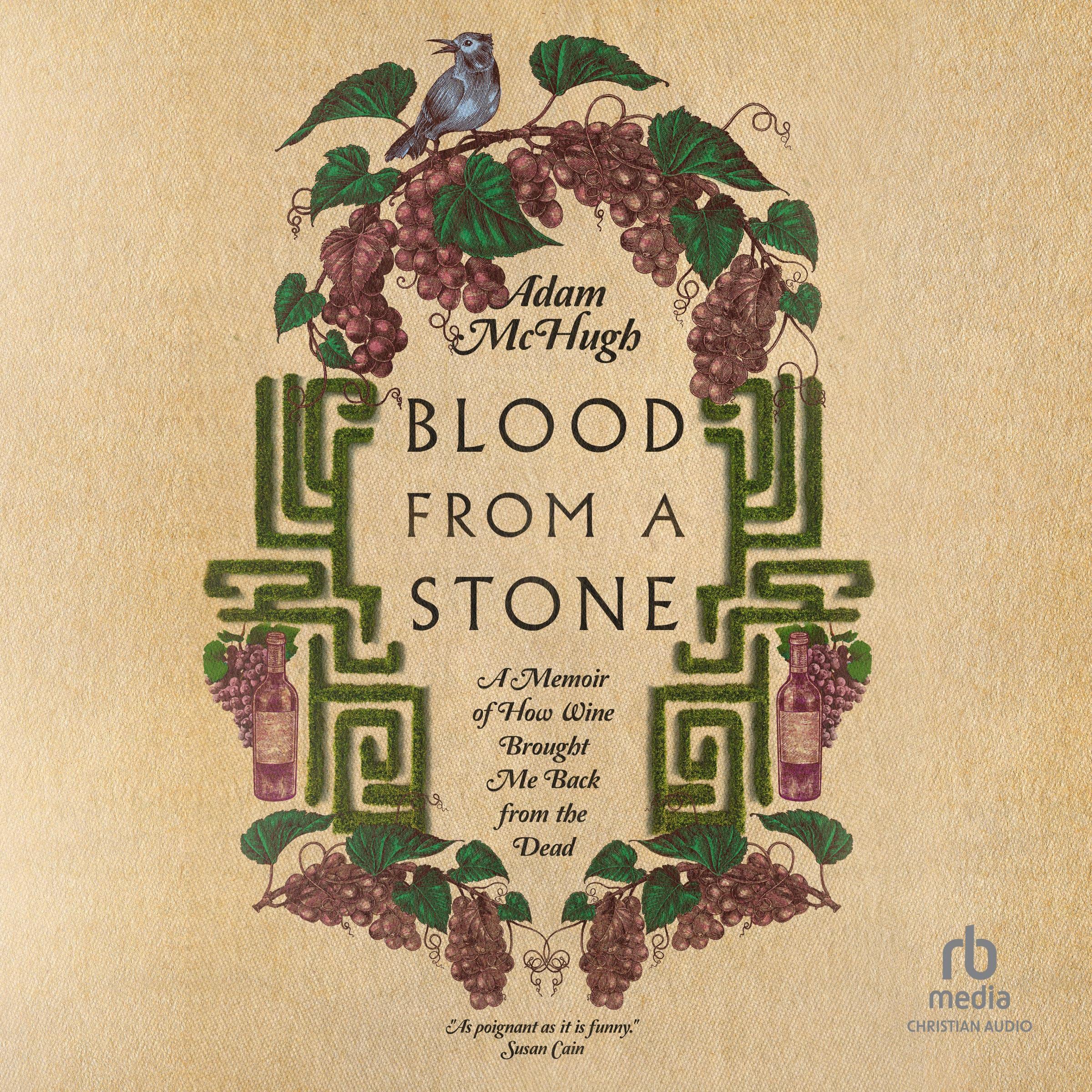 Cover art for Blood from a Stone